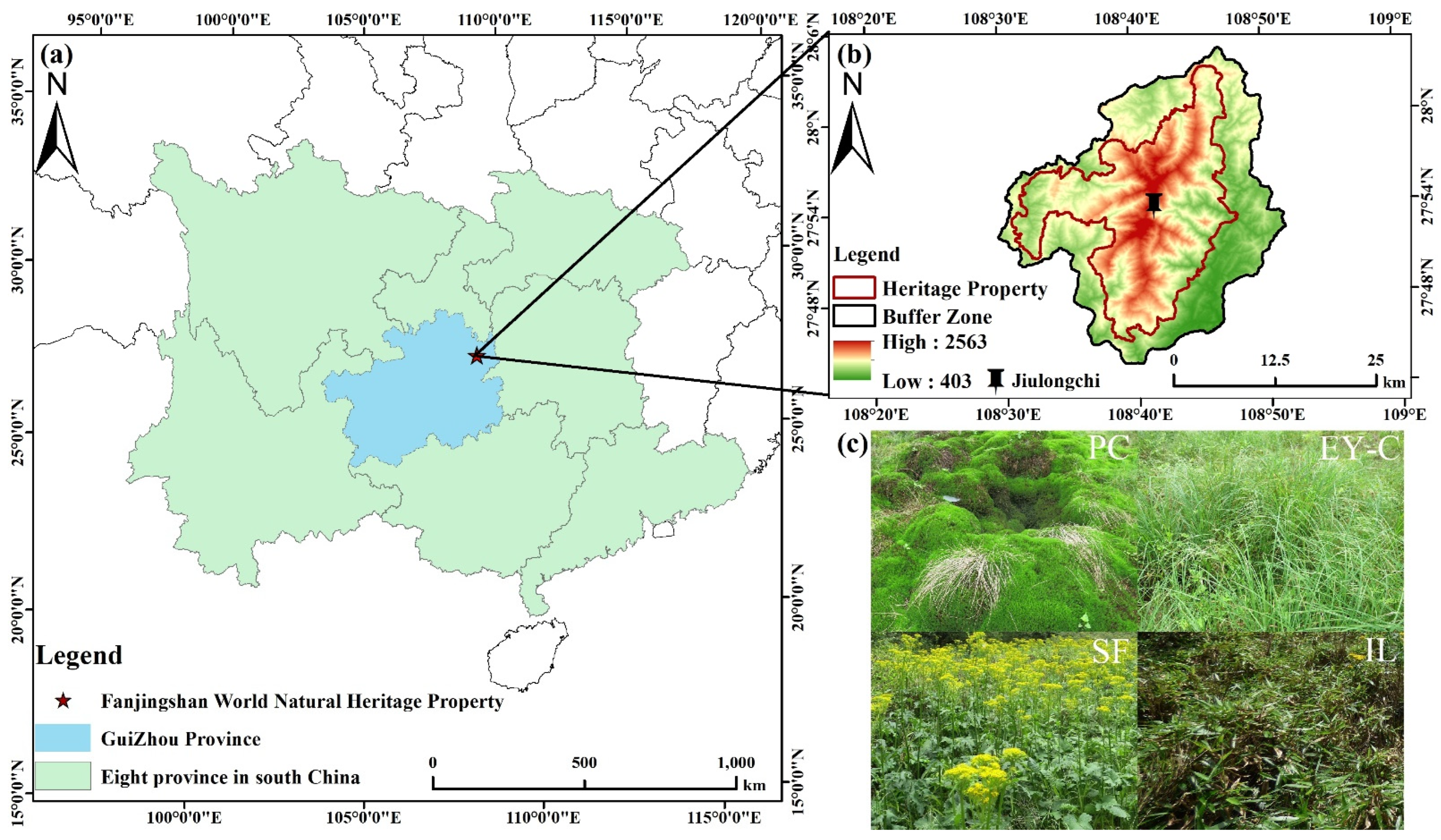 Forests 14 00332 g001