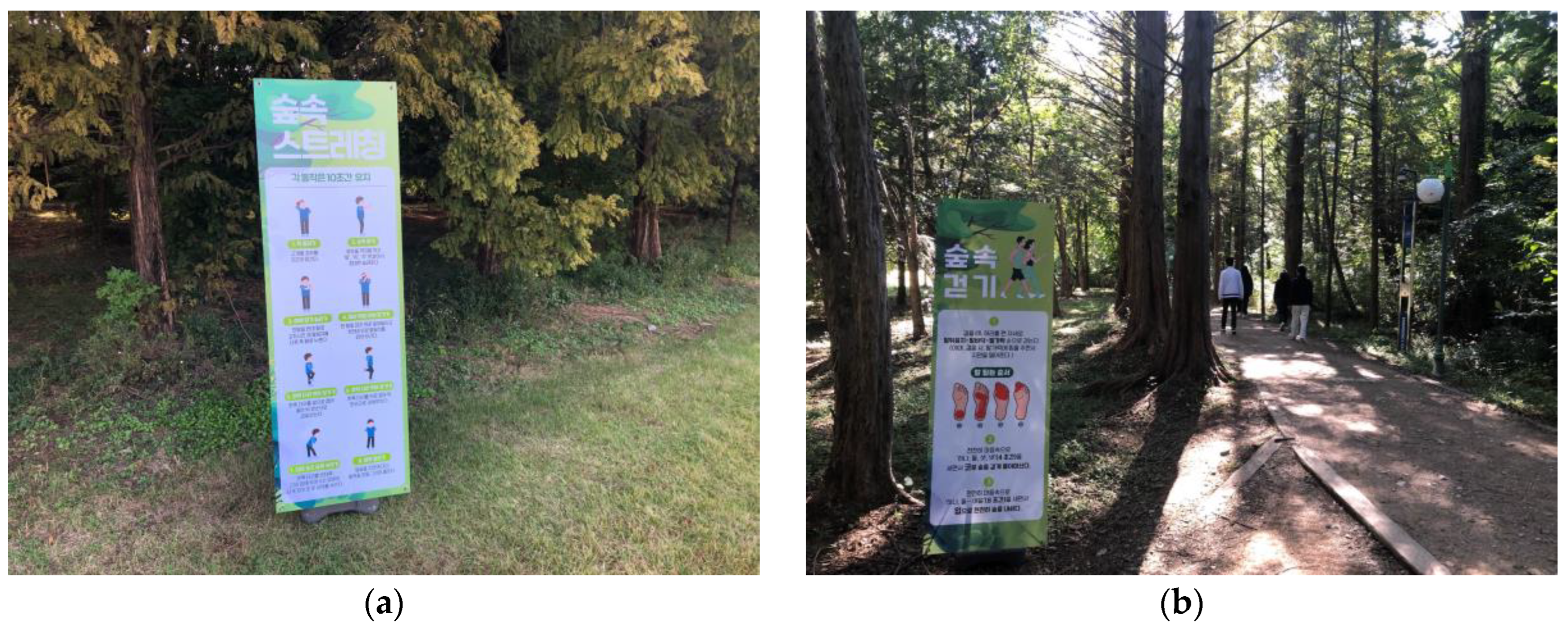 Forests 14 00336 g002 Forests 14 00336 g002