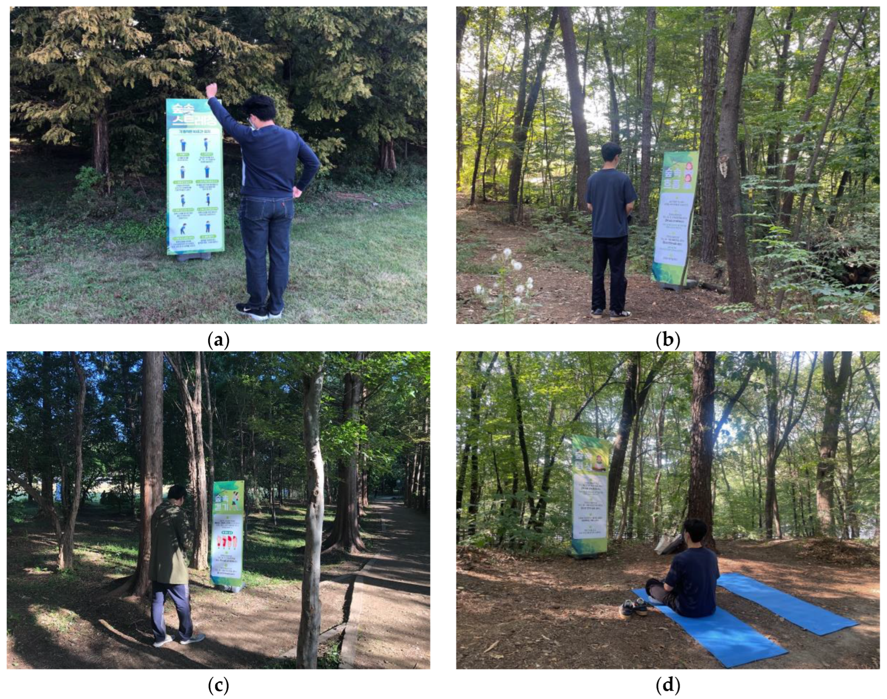 Forests 14 00336 g003 Forests 14 00336 g003