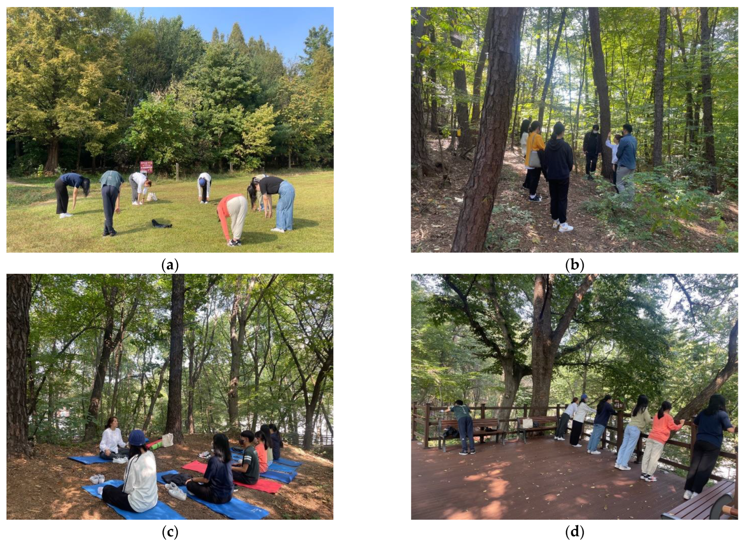 Forests 14 00336 g004 Forests 14 00336 g004