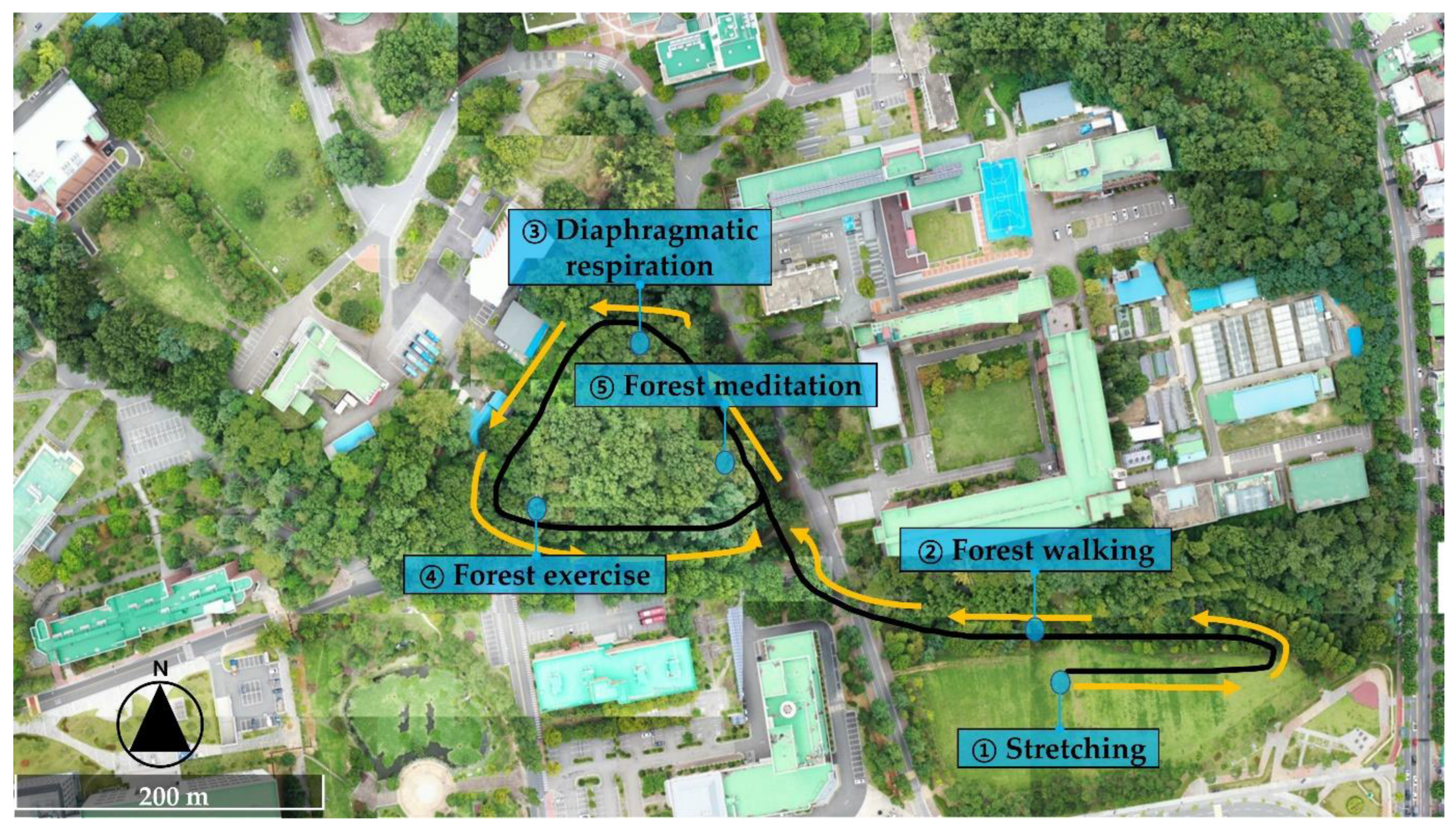 Forests 14 00336 g005 Forests 14 00336 g005