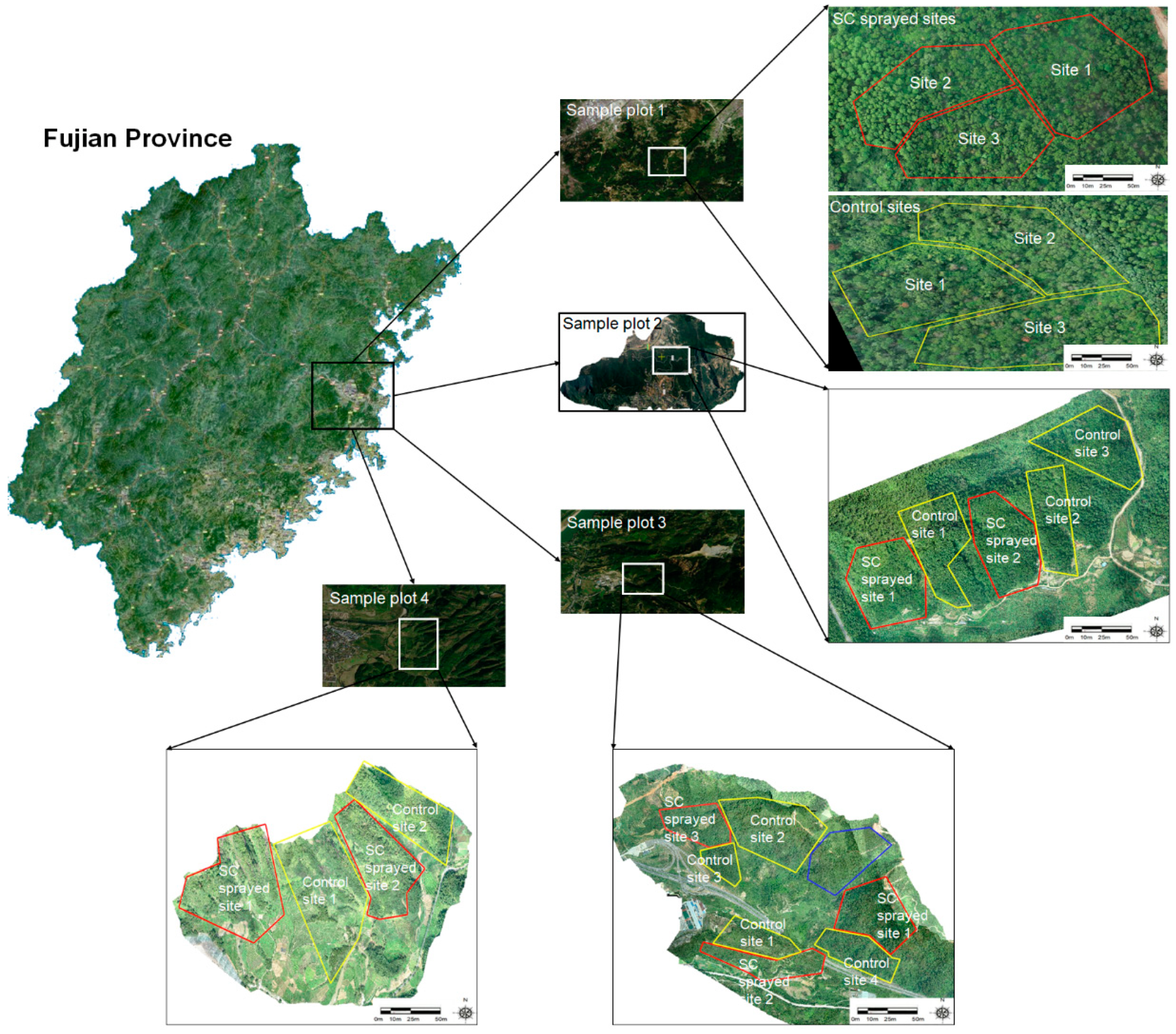 Forests 14 00338 g002