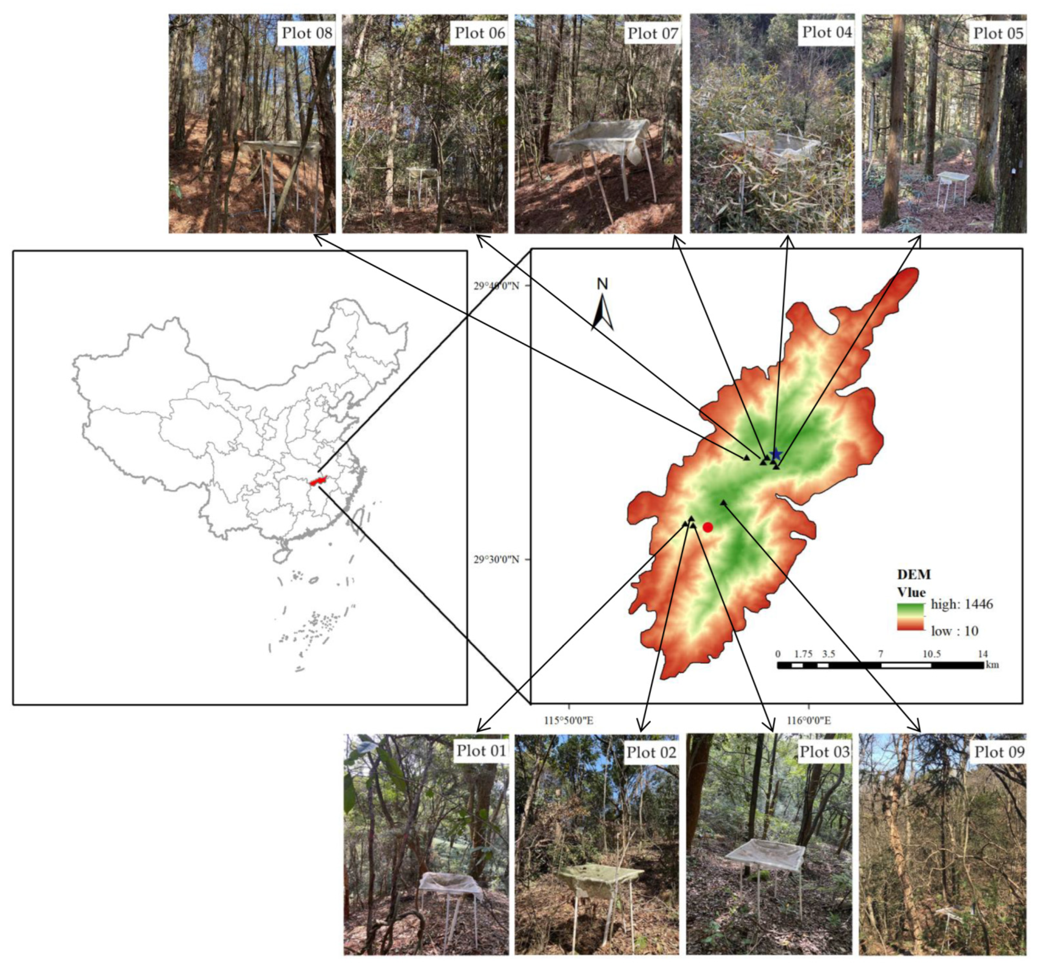Forests 14 00341 g001