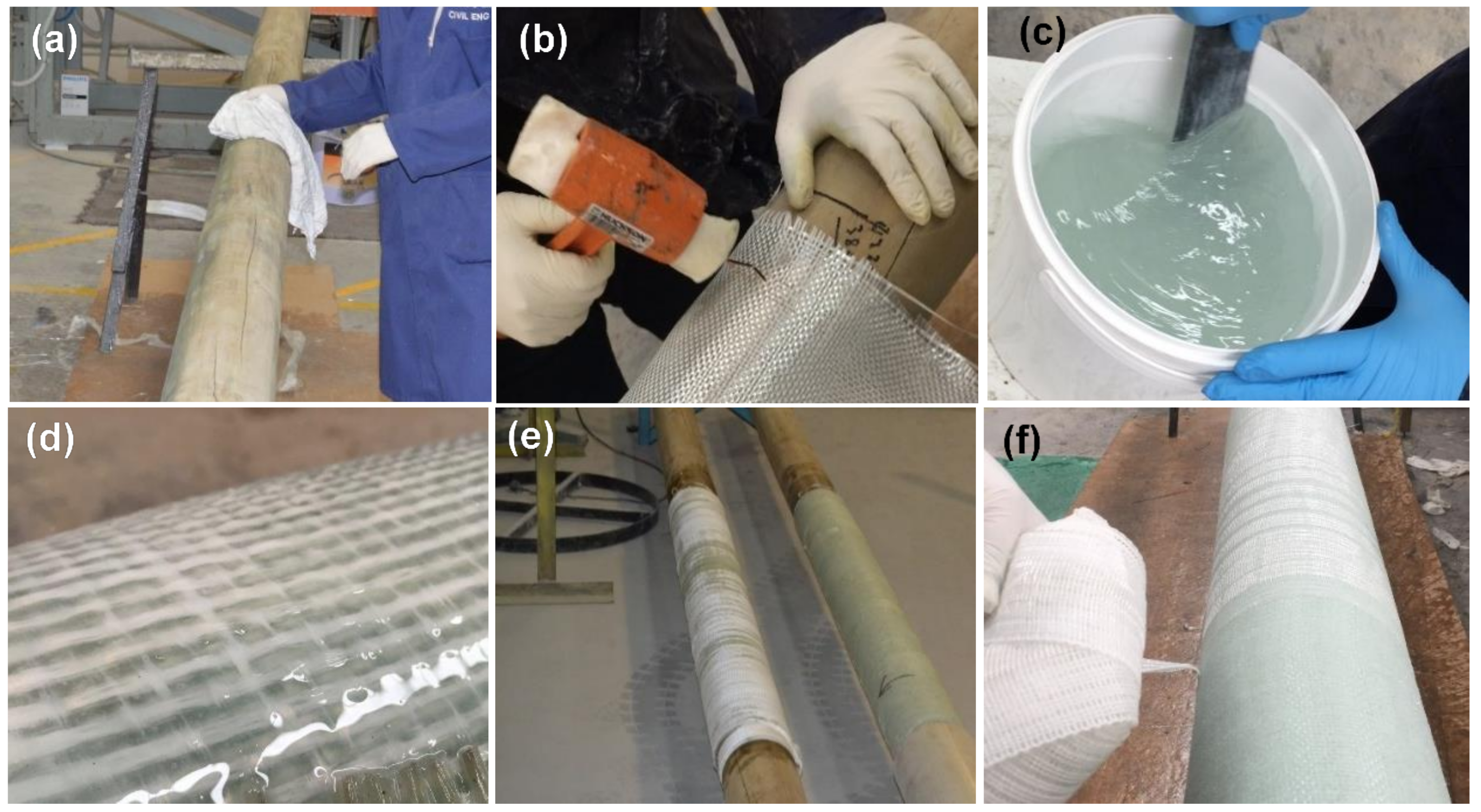 Forests 14 00343 g001