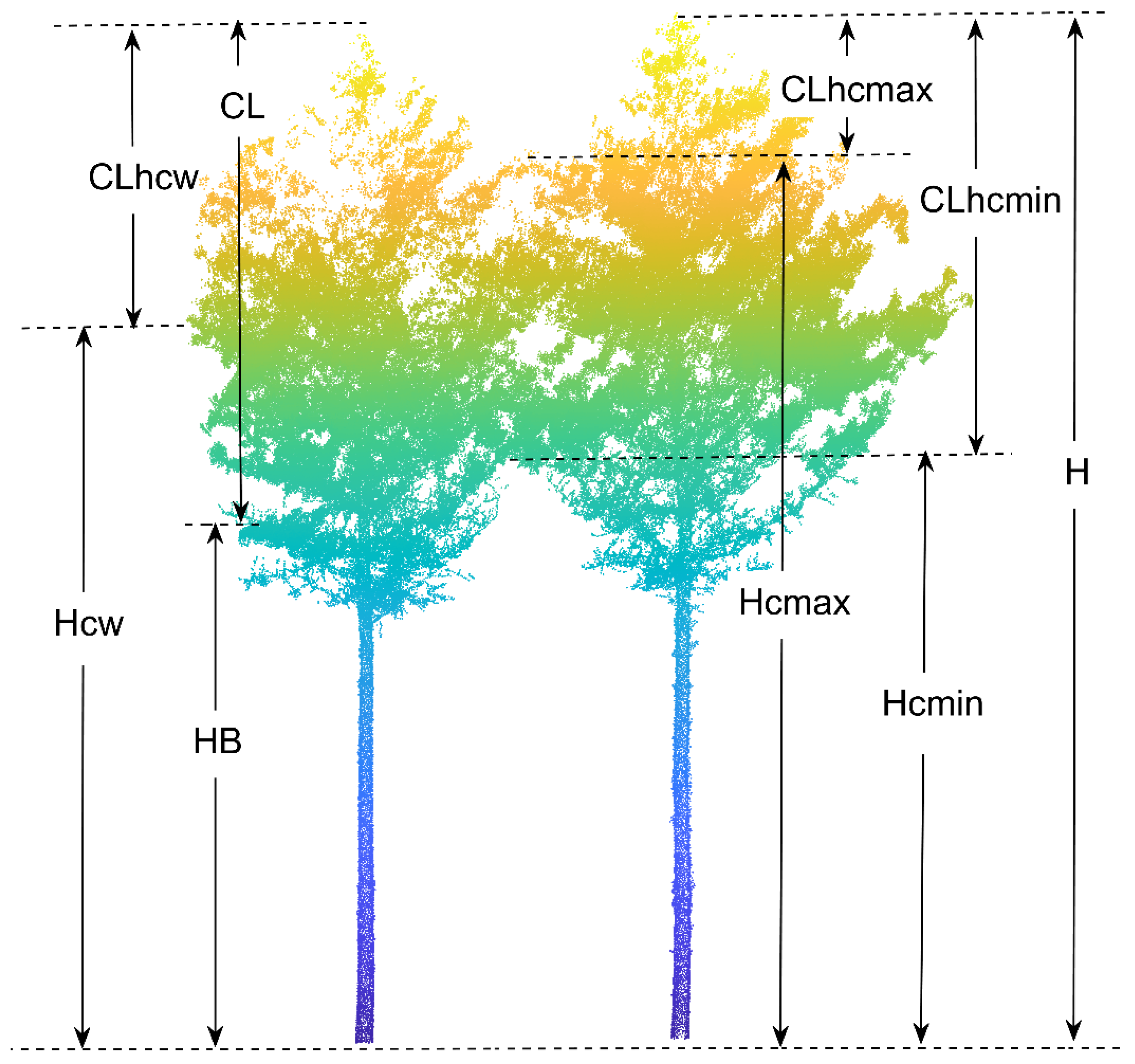 Forests 14 00351 g004