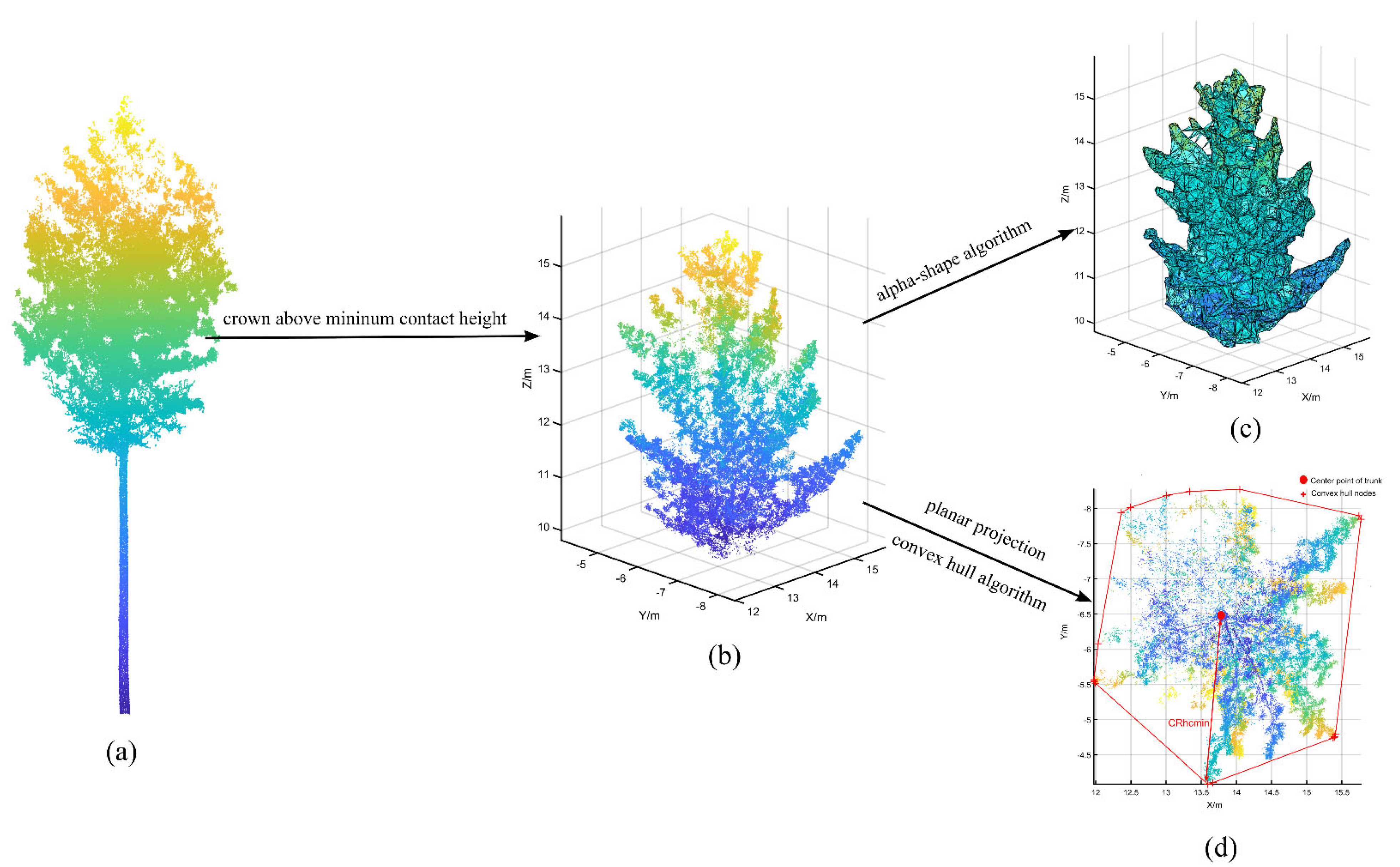 Forests 14 00351 g005