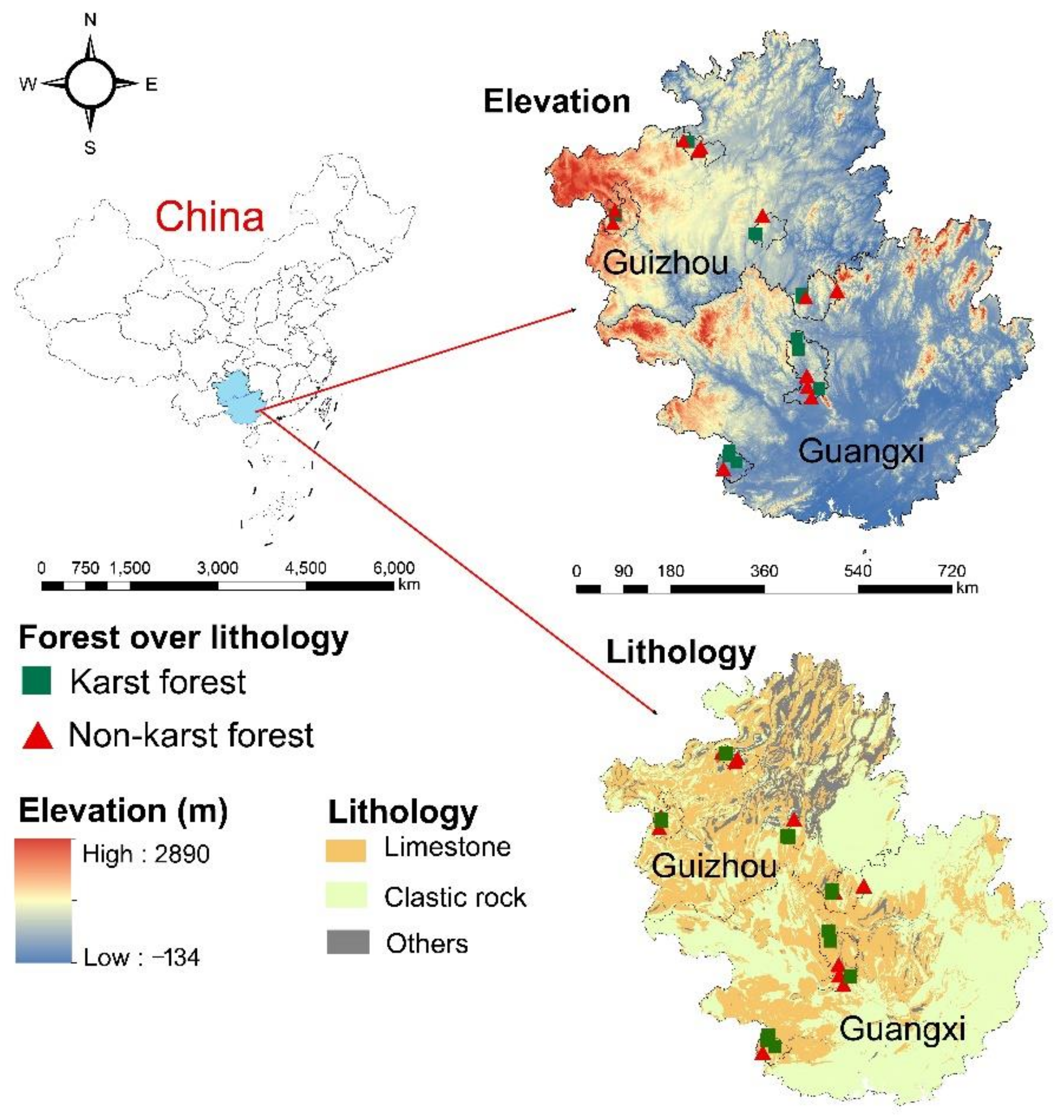 Forests 14 00355 g001
