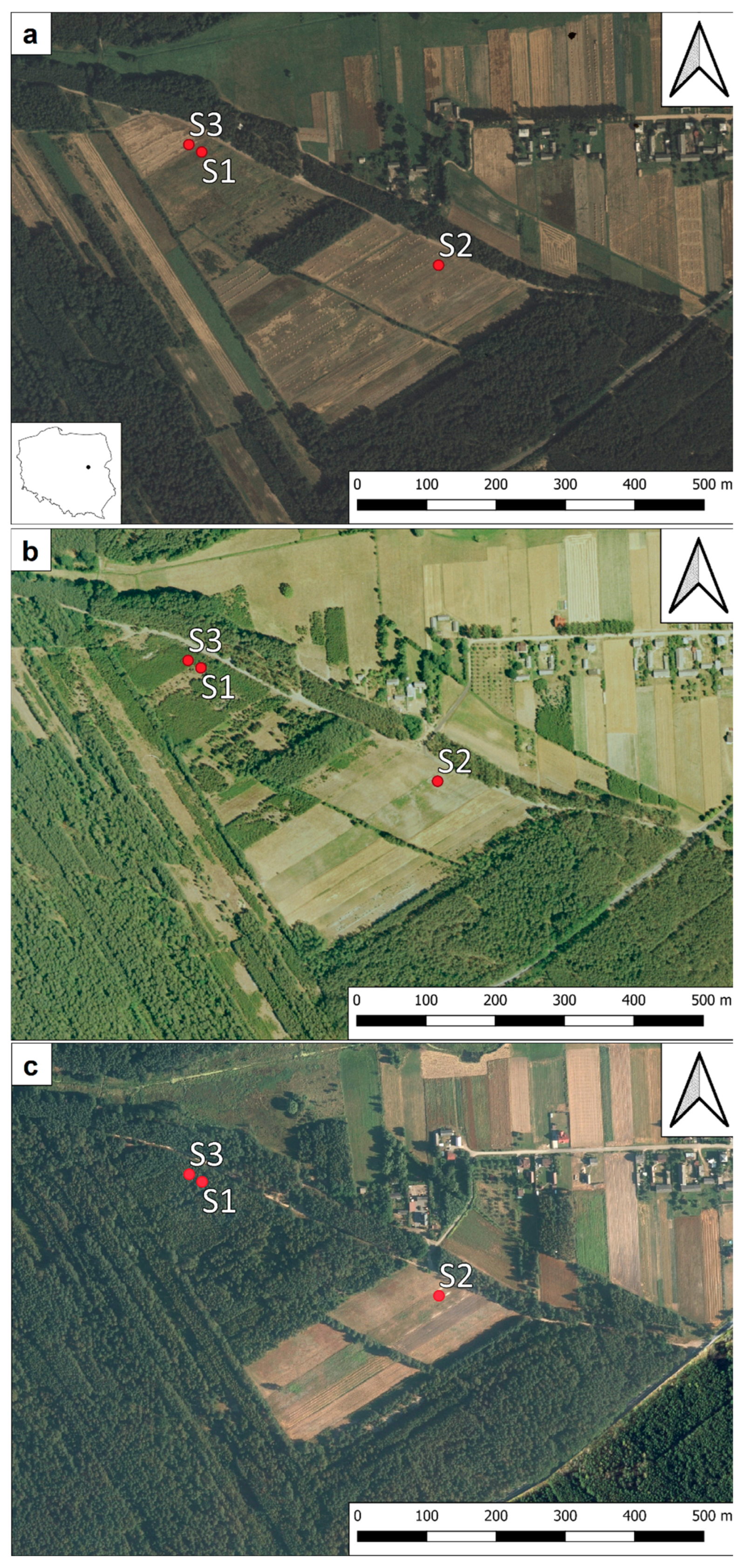 Forests 14 00356 g001