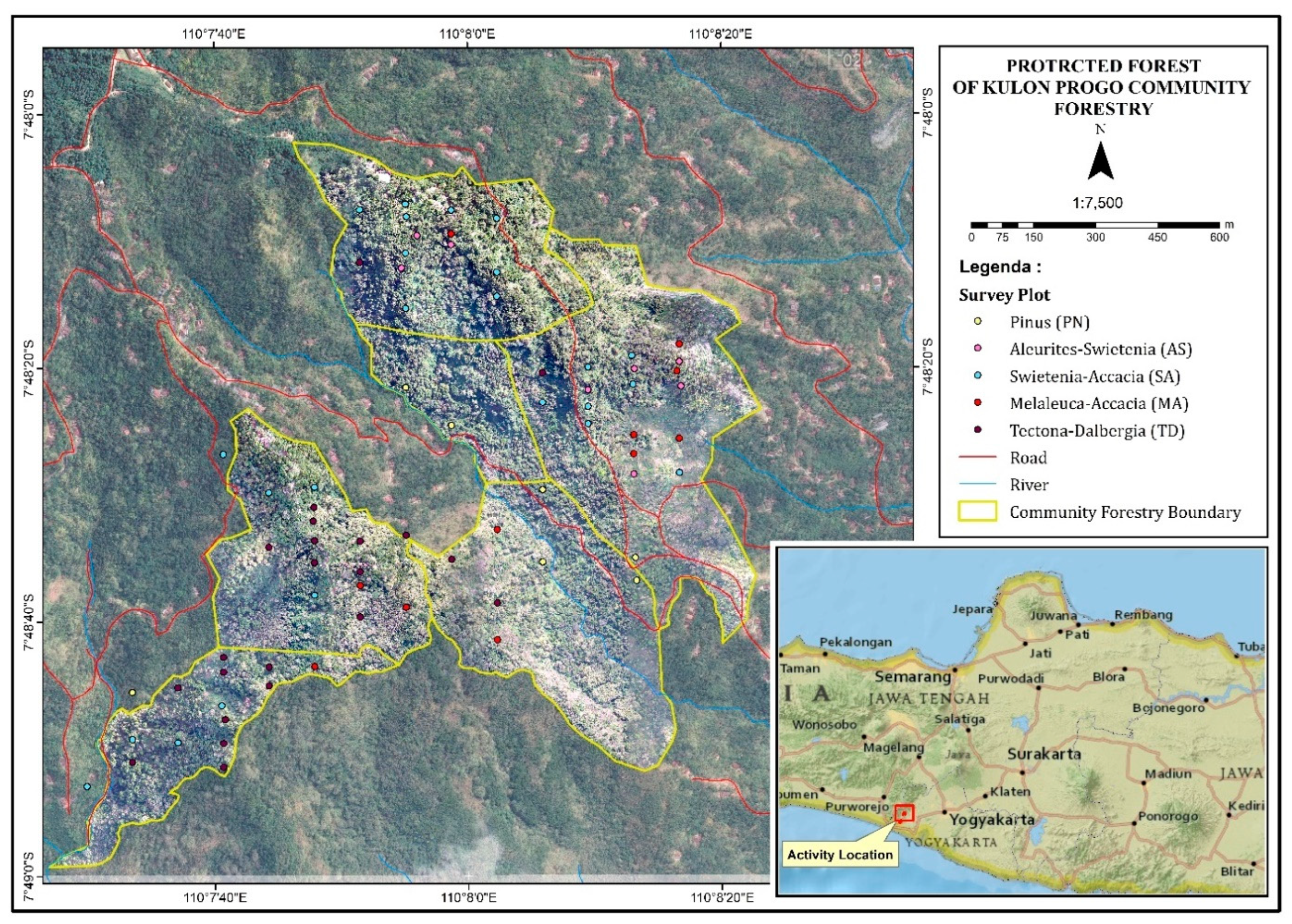 Forests 14 00365 g001