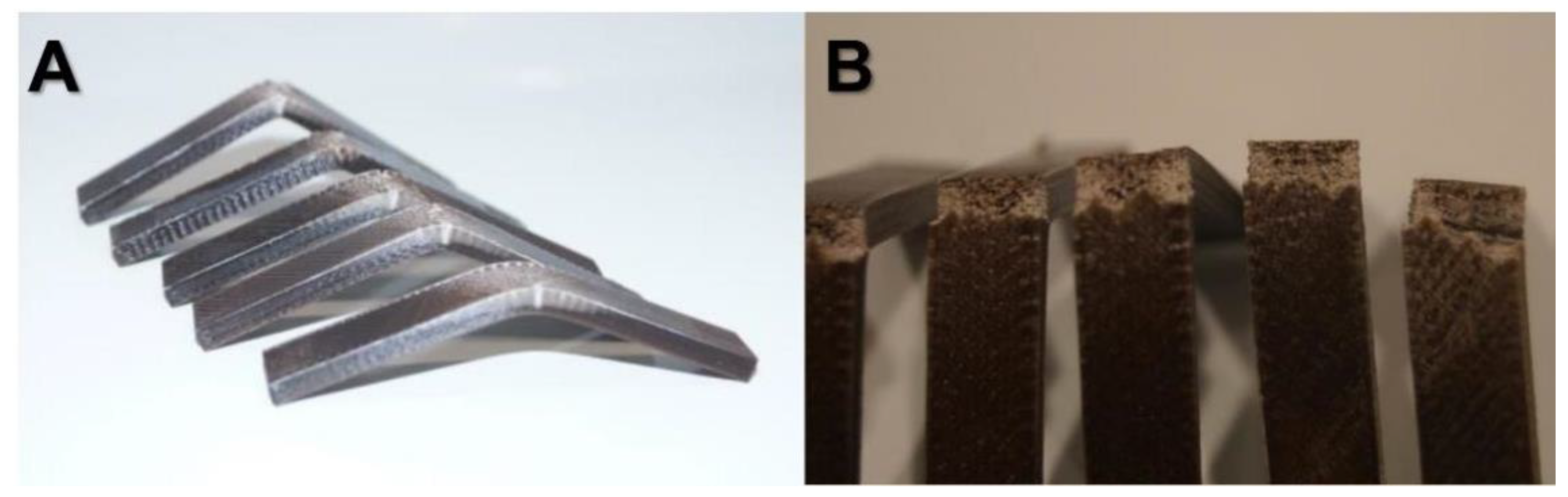 Forests 14 00367 g004