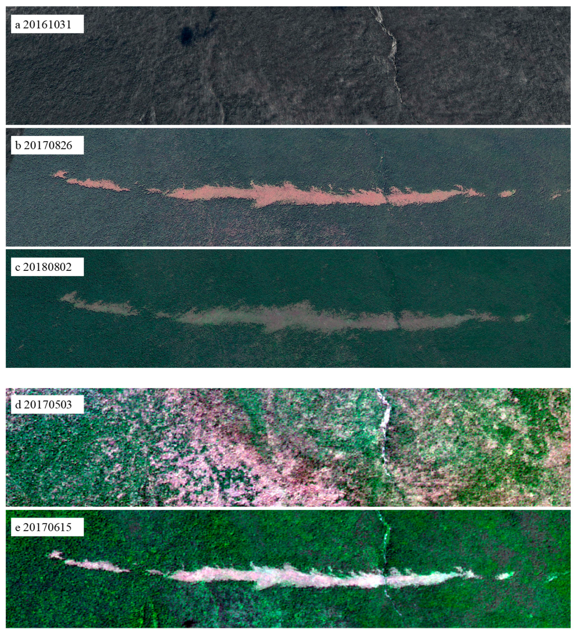 Forests 14 00368 g004