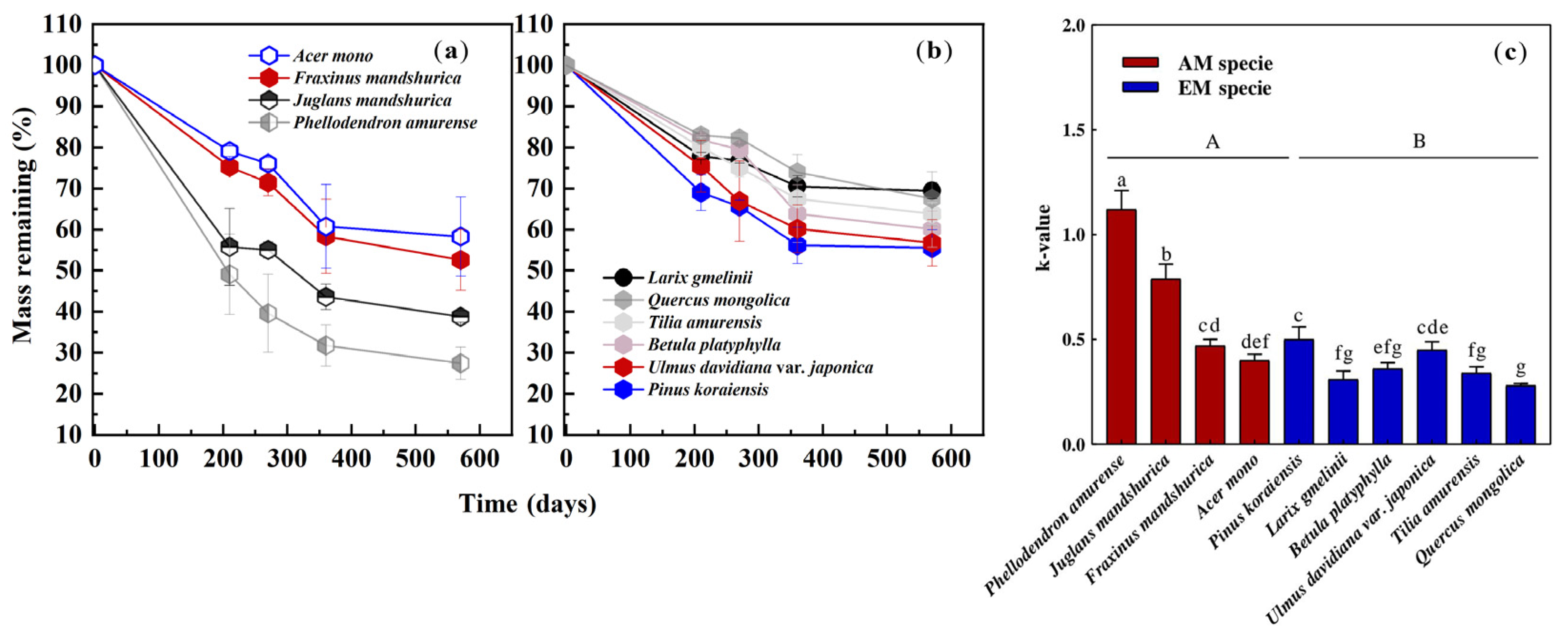 Forests 14 00372 g001