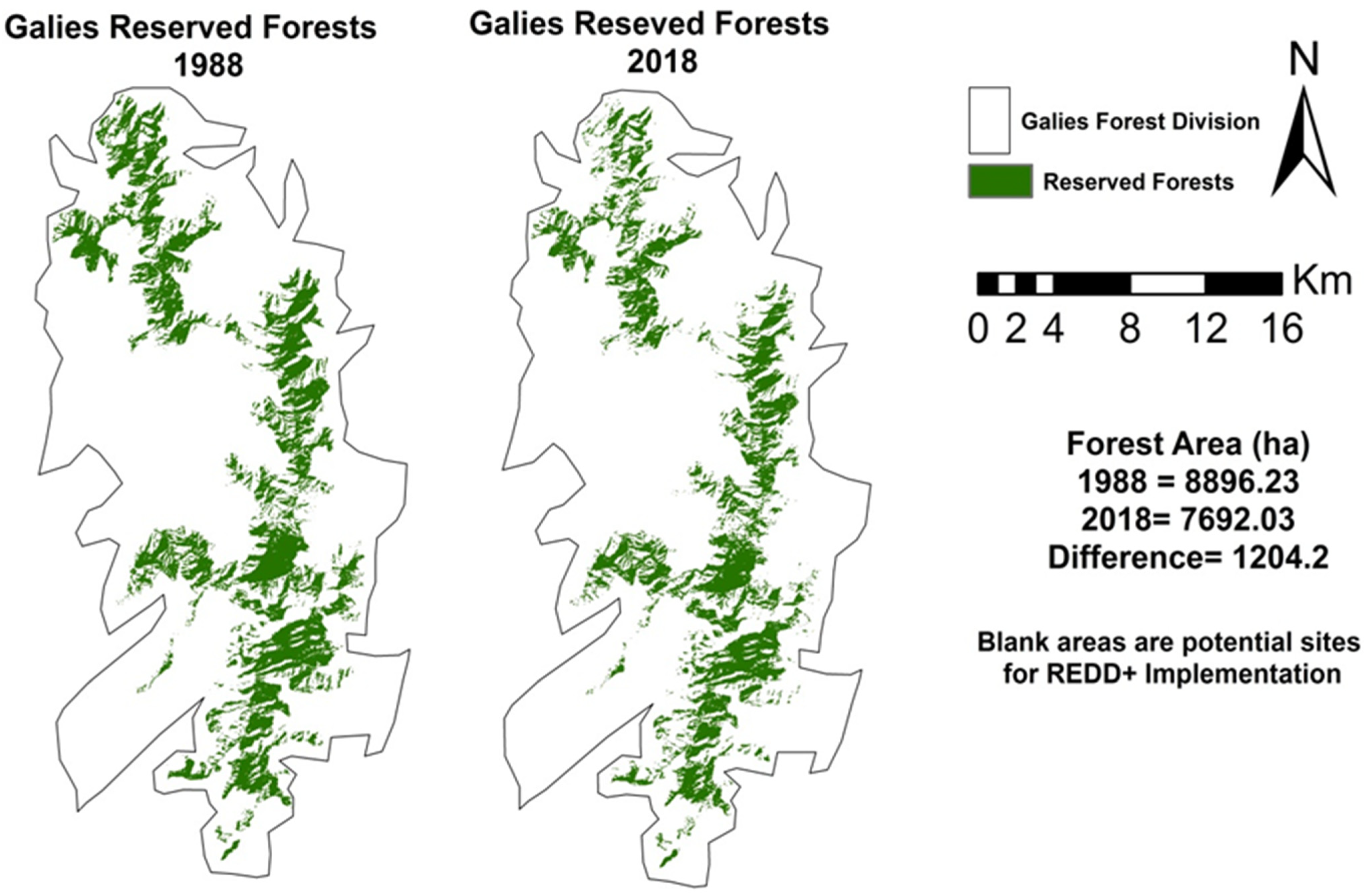 Forests 14 00379 g007