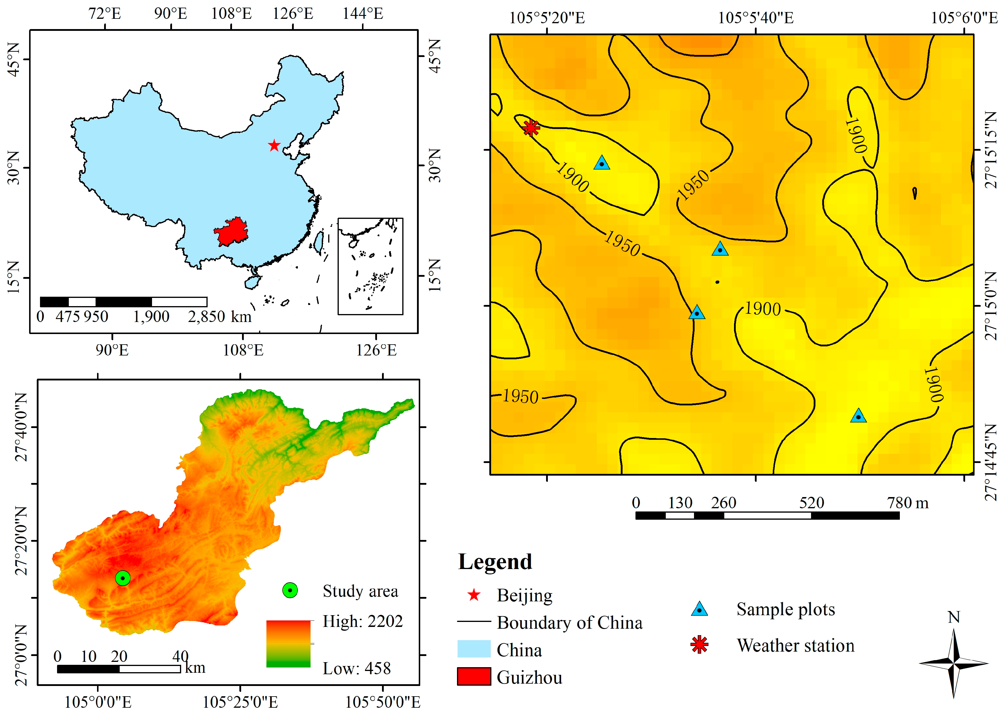 Forests 14 00384 g001