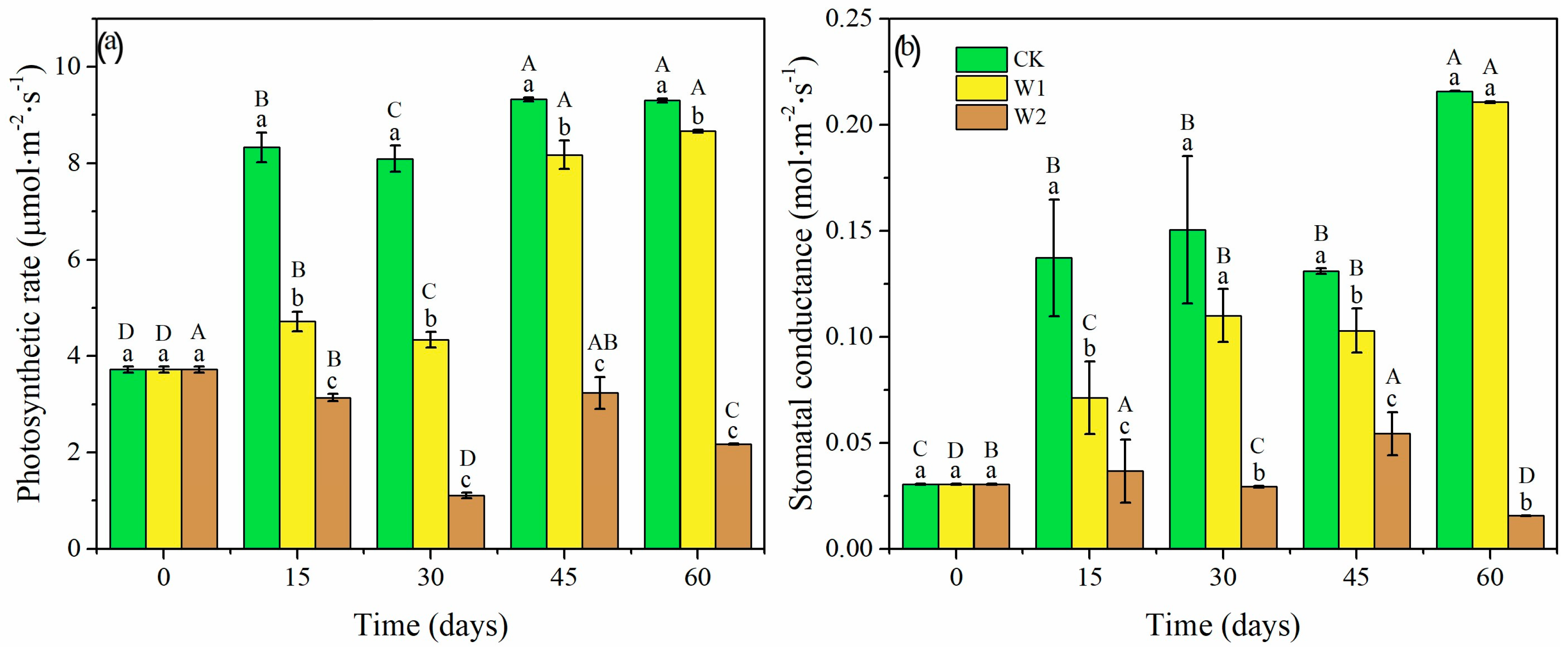 Forests 14 00404 g003