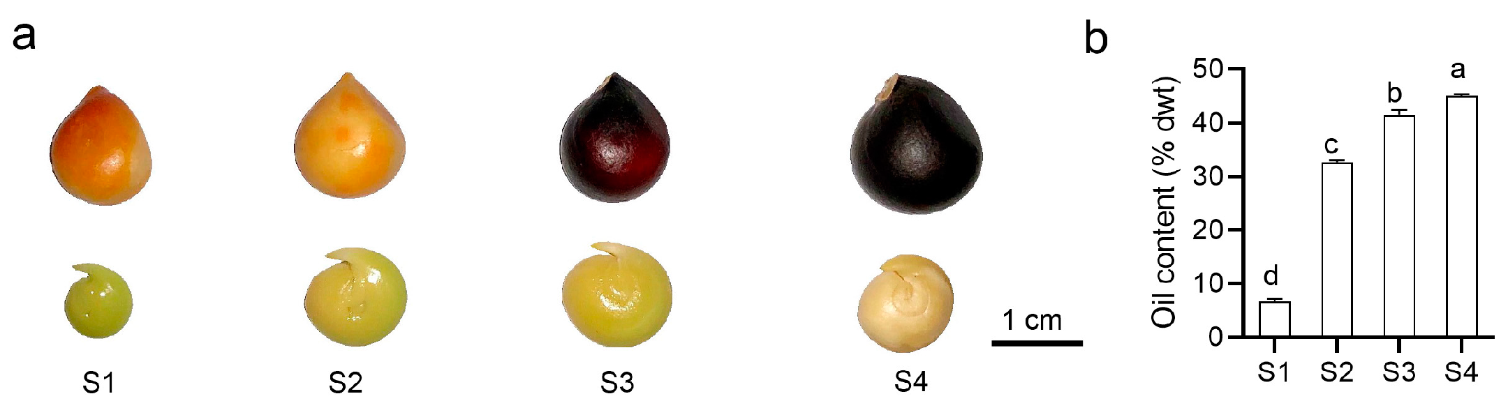 Forests 14 00407 g001