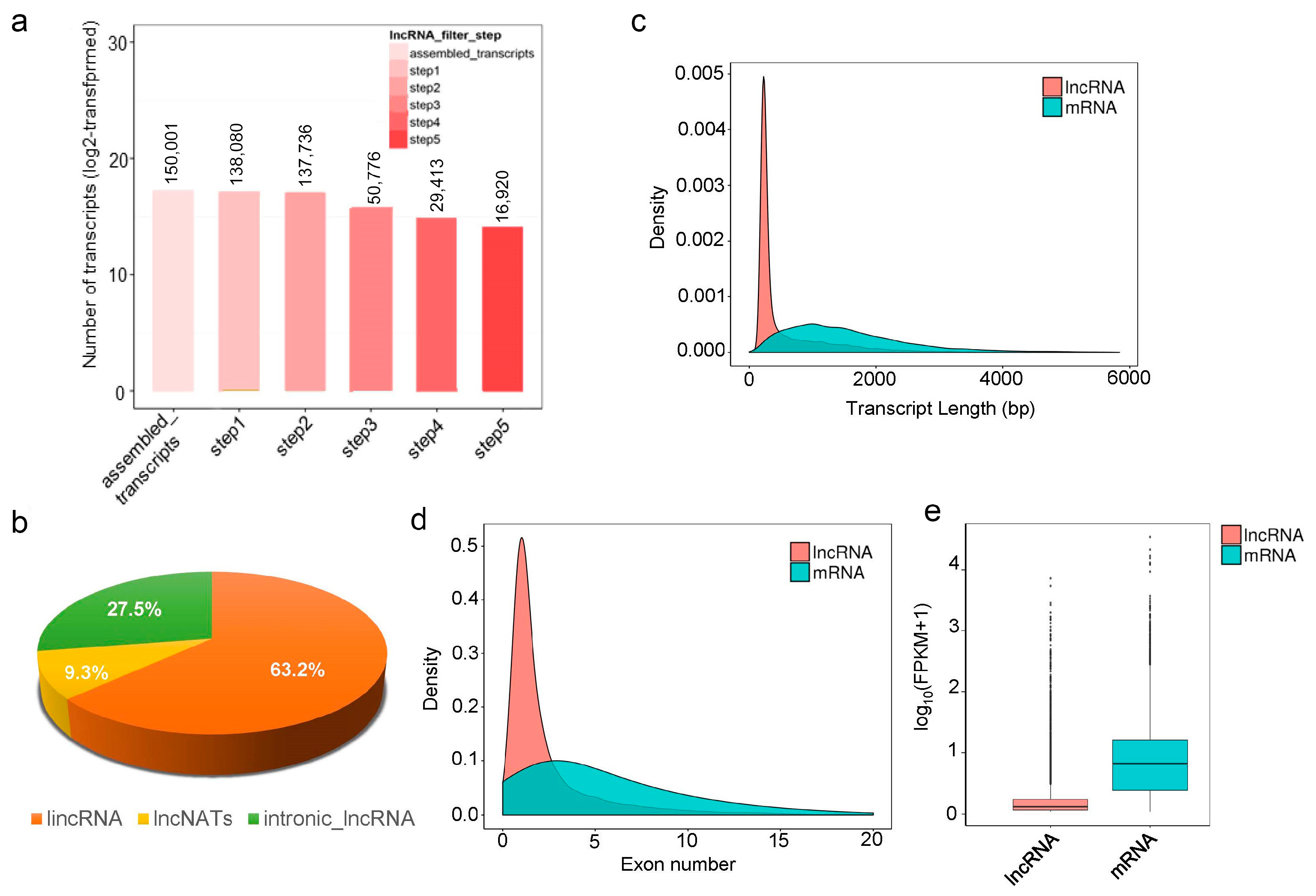 Forests 14 00407 g002