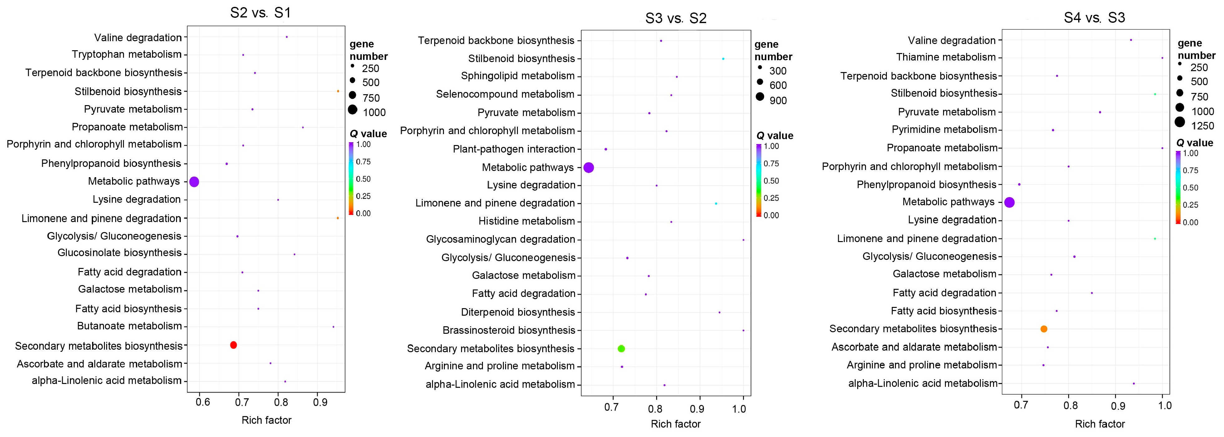 Forests 14 00407 g004