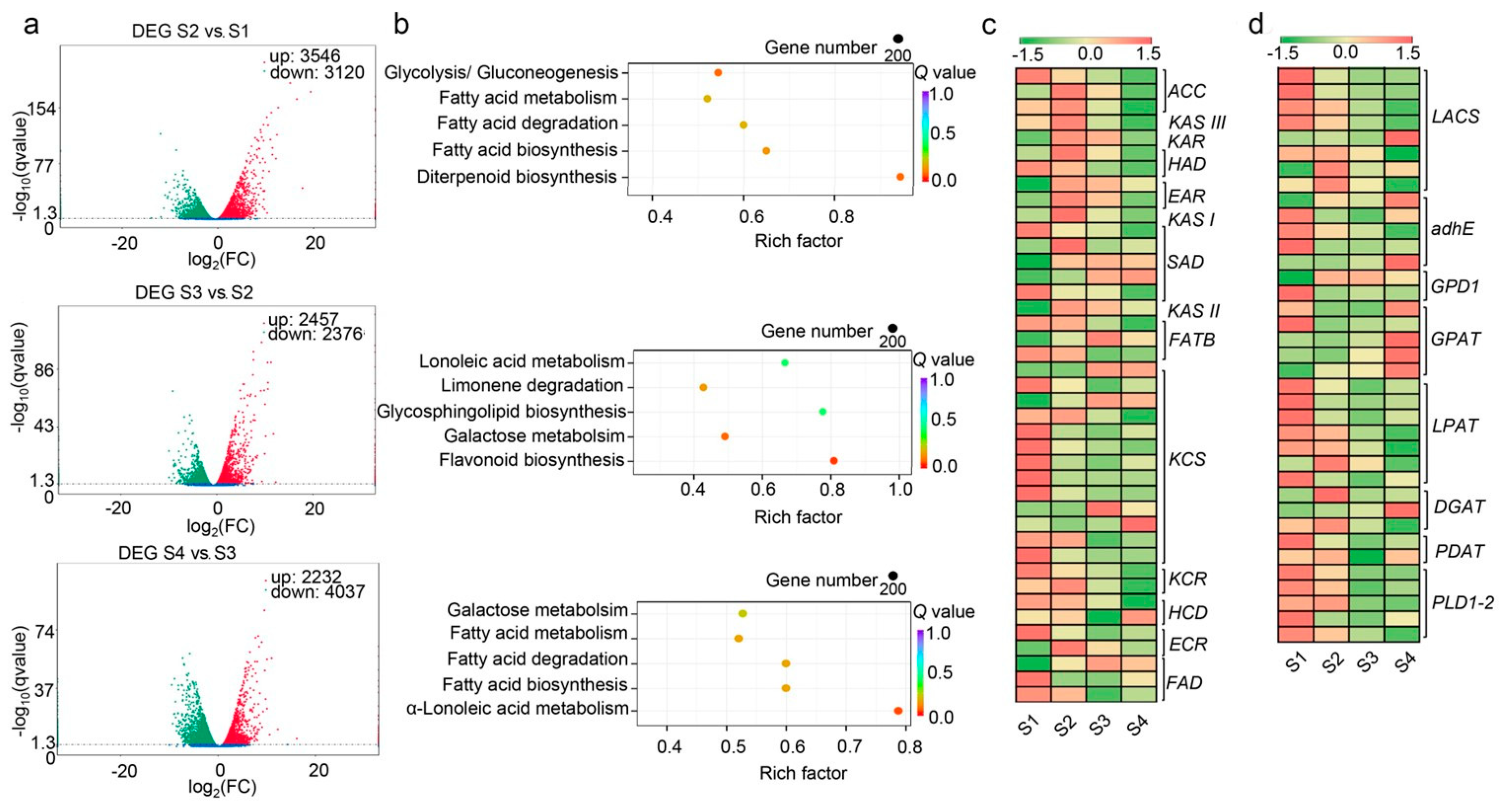 Forests 14 00407 g005