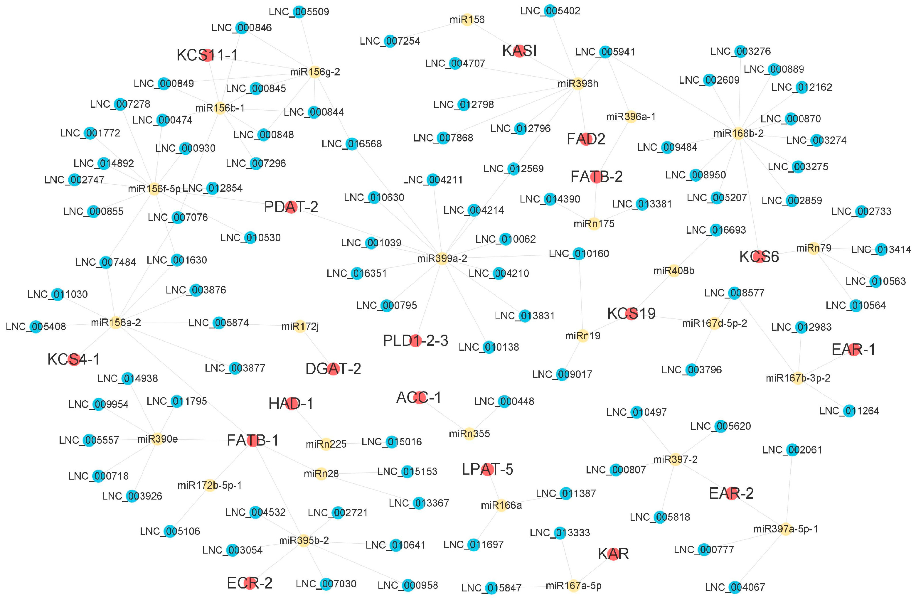 Forests 14 00407 g011