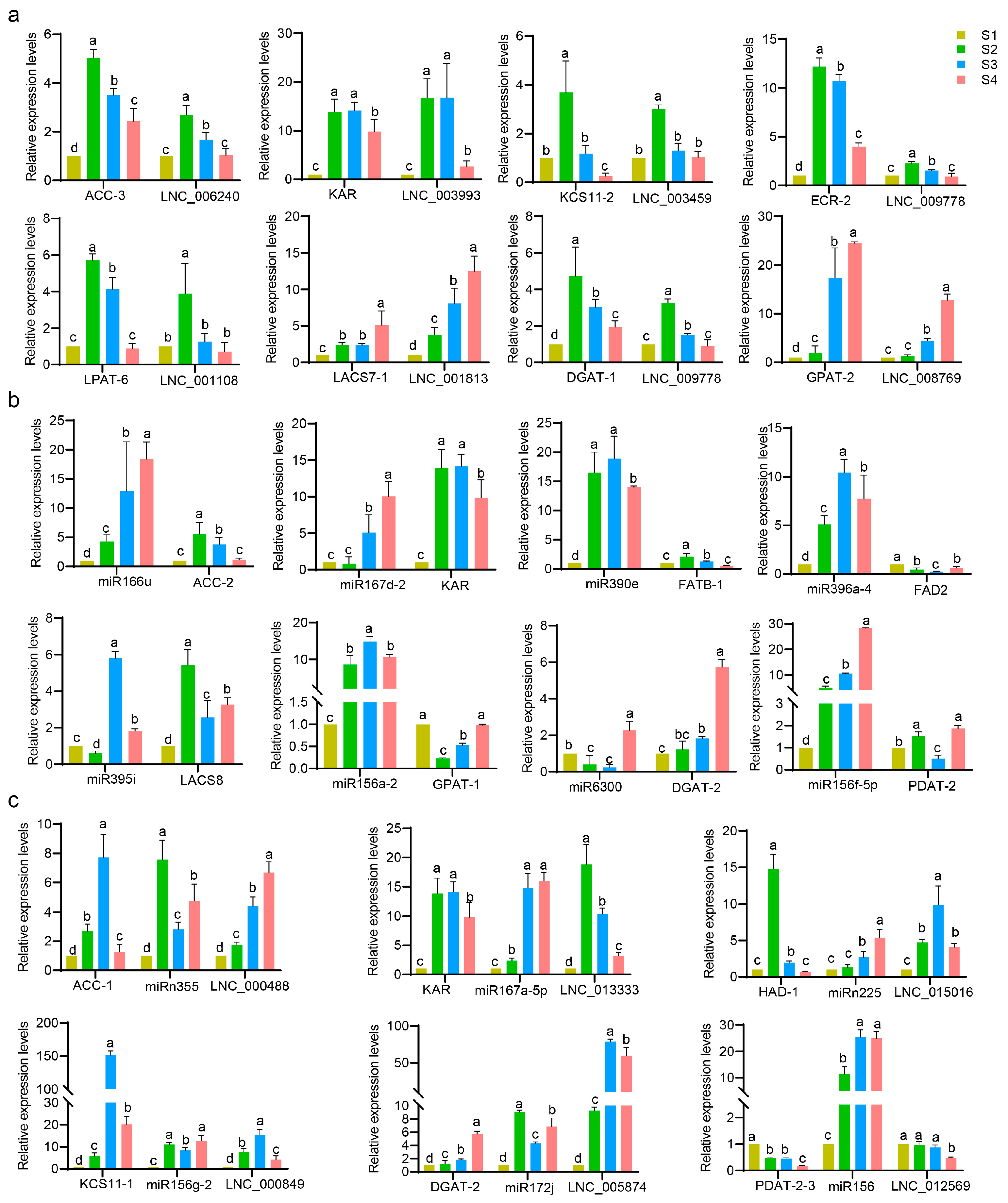 Forests 14 00407 g012
