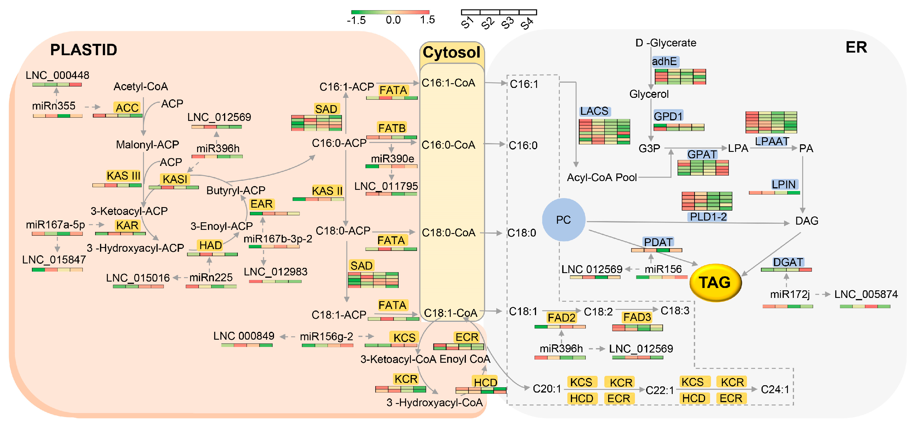 Forests 14 00407 g013