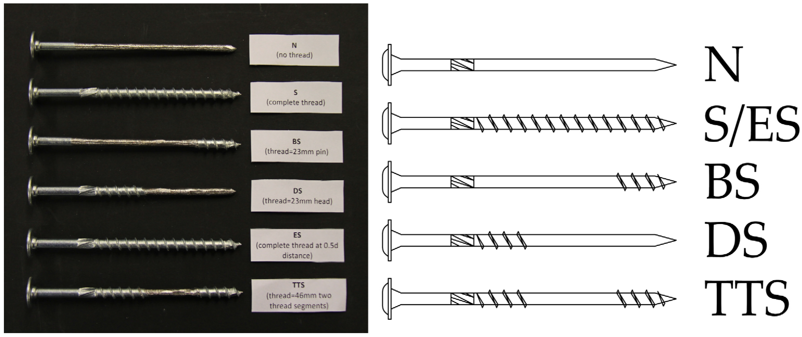 Forests 14 00409 g003