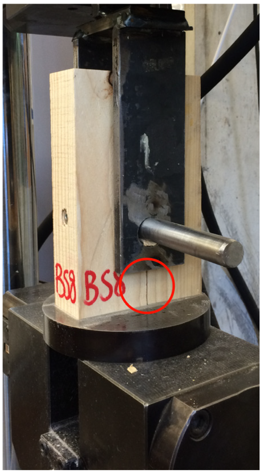 Forests 14 00409 g006