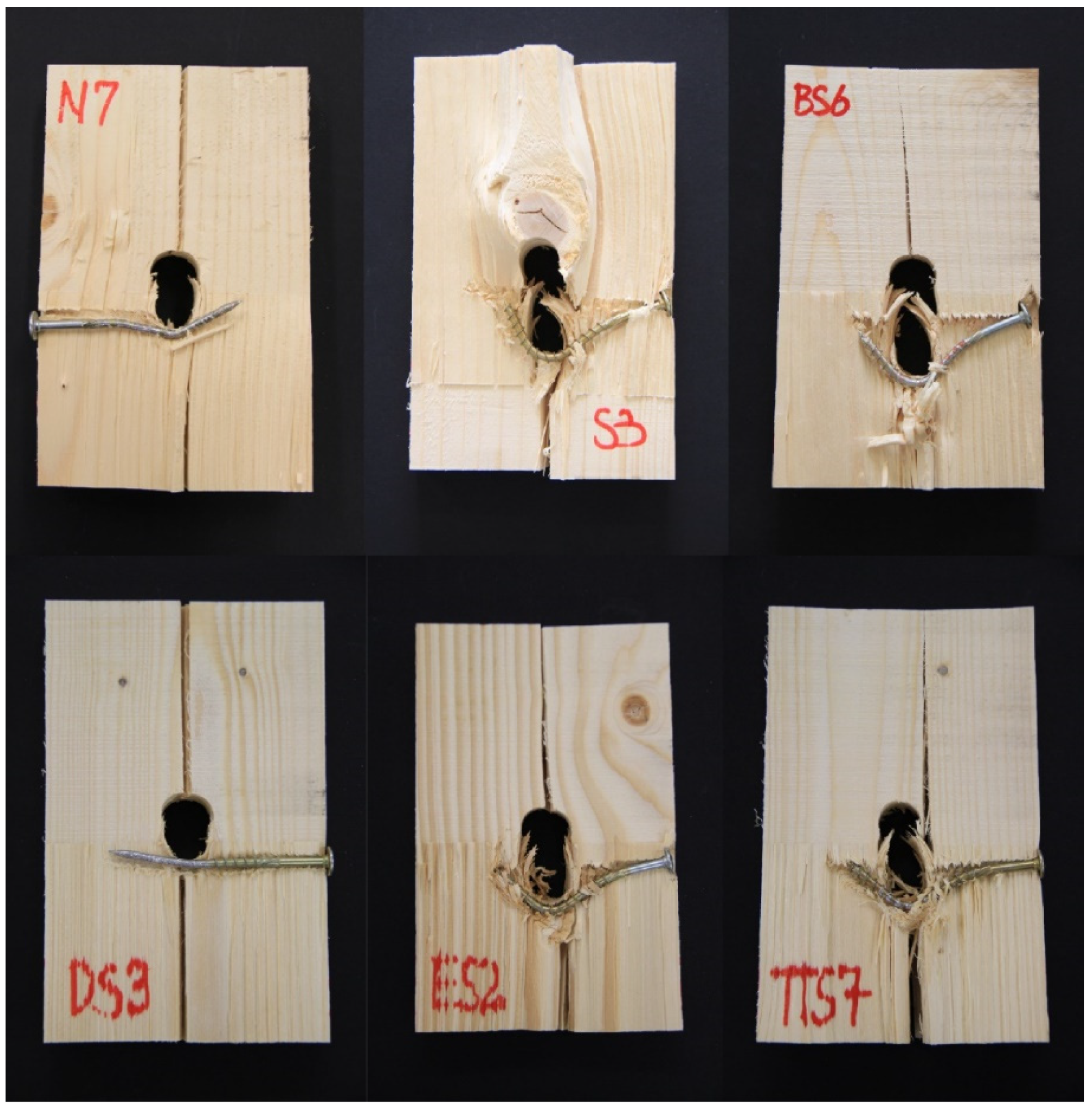 Forests 14 00409 g008