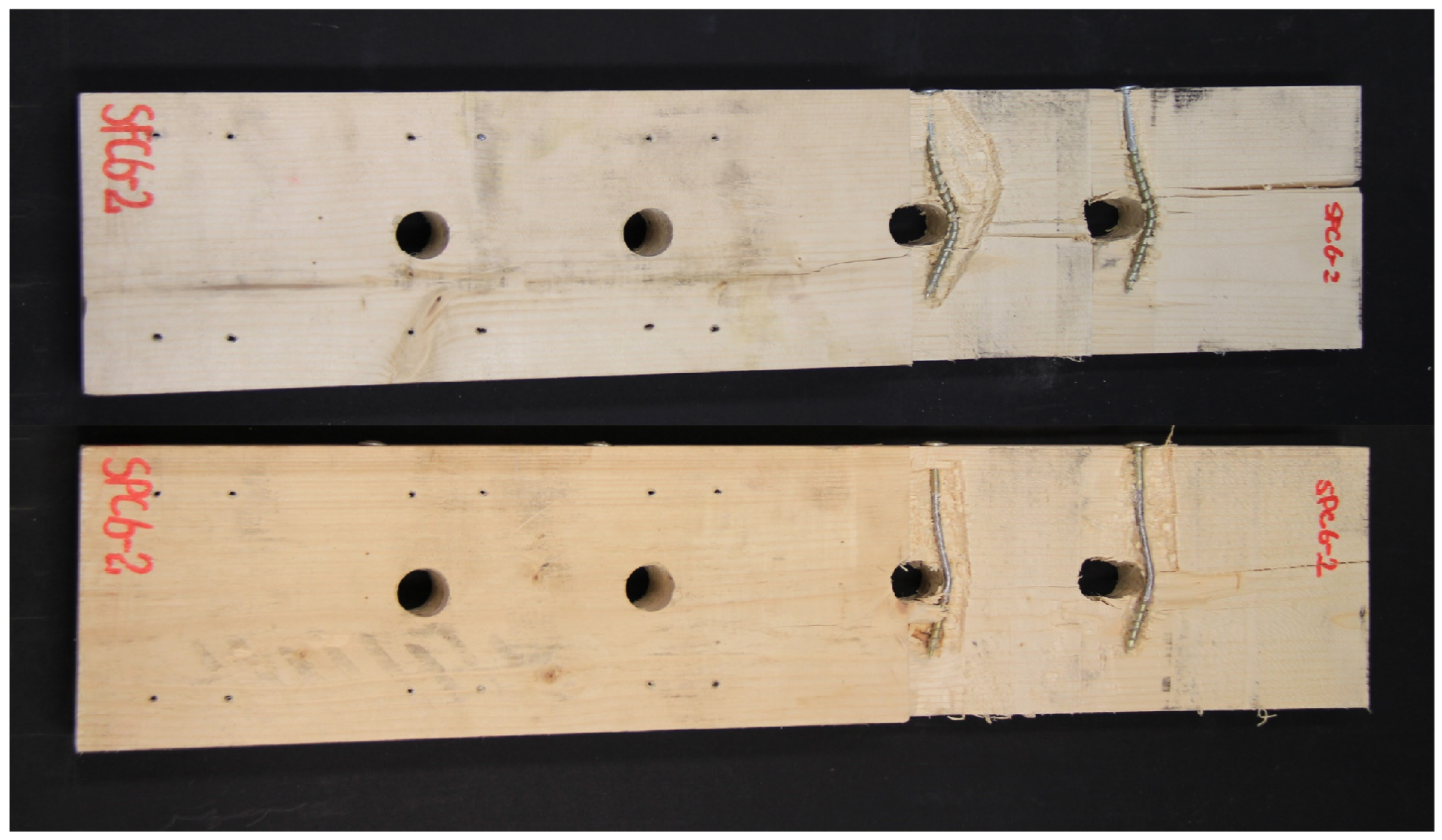 Forests 14 00409 g011