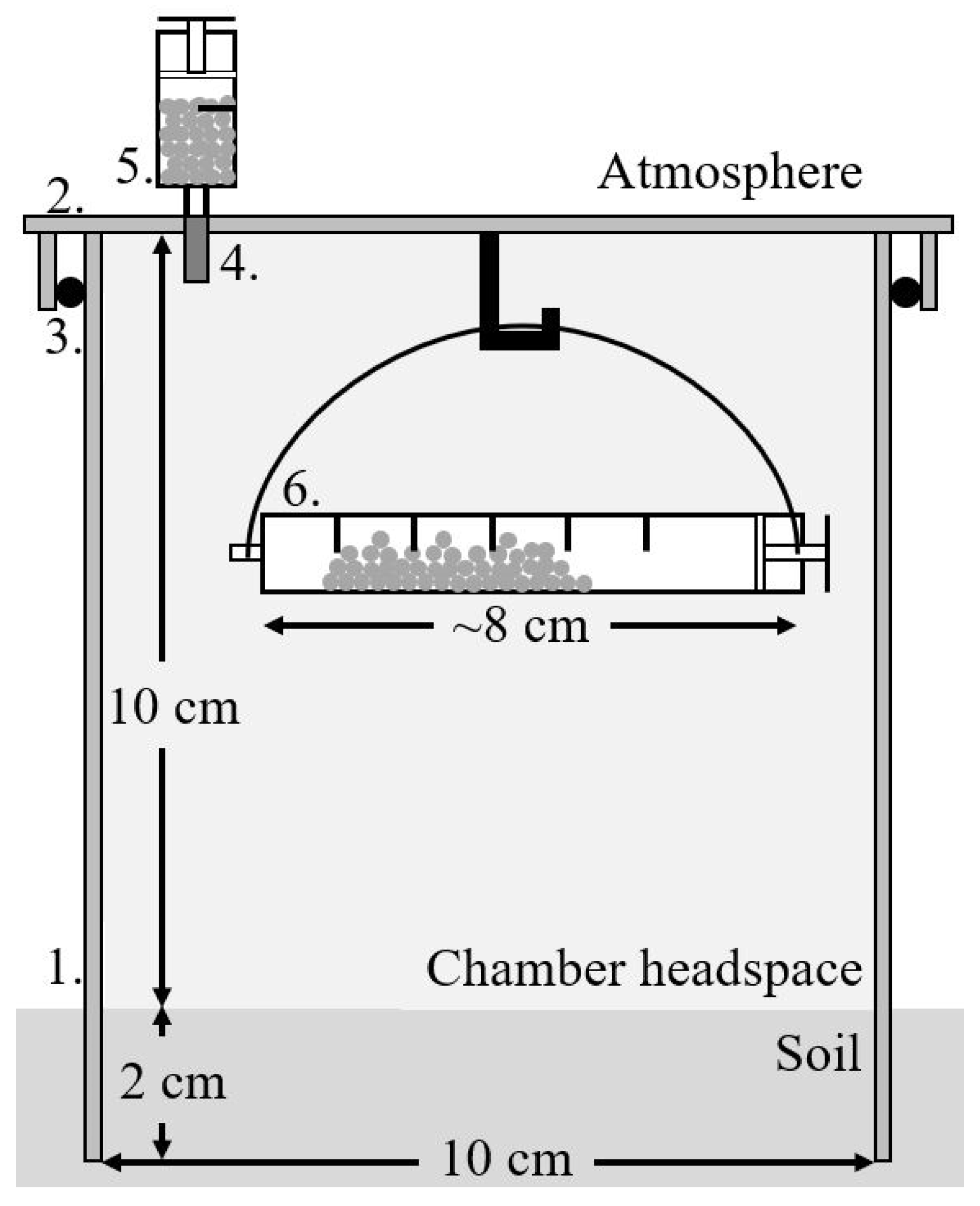 Forests 14 00411 g001