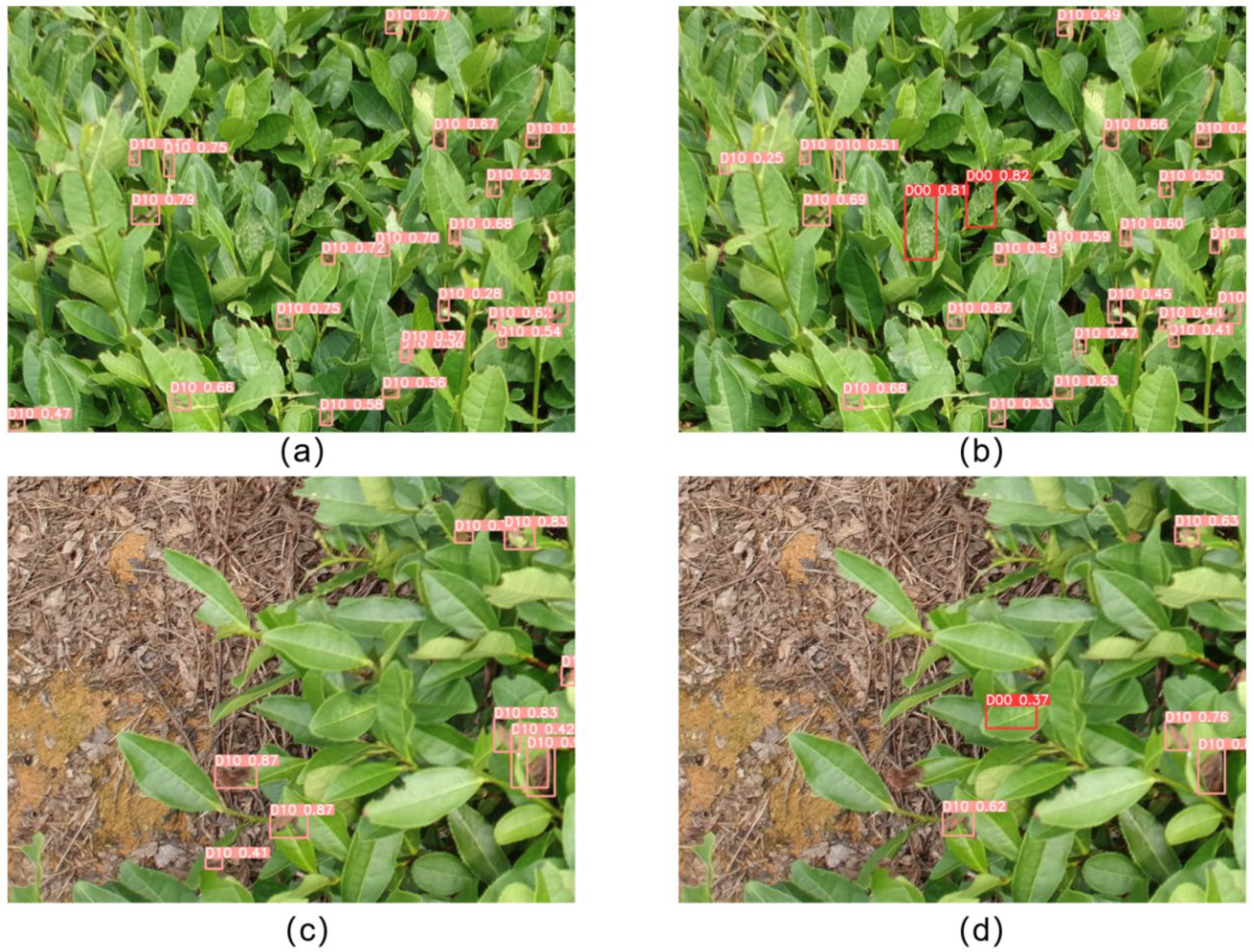 Forests 14 00415 g009 Forests 14 00415 g009