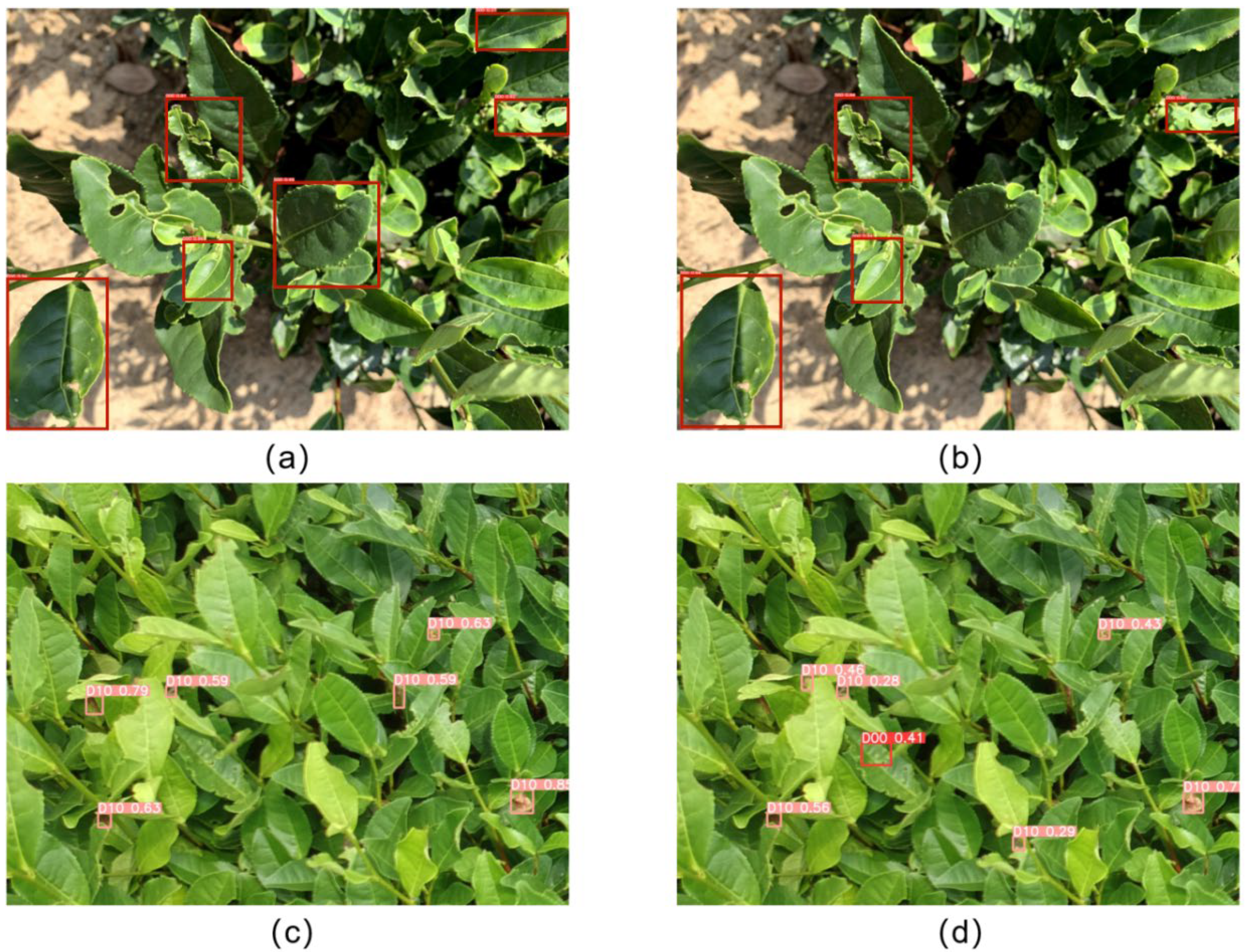 Forests 14 00415 g010 Forests 14 00415 g010