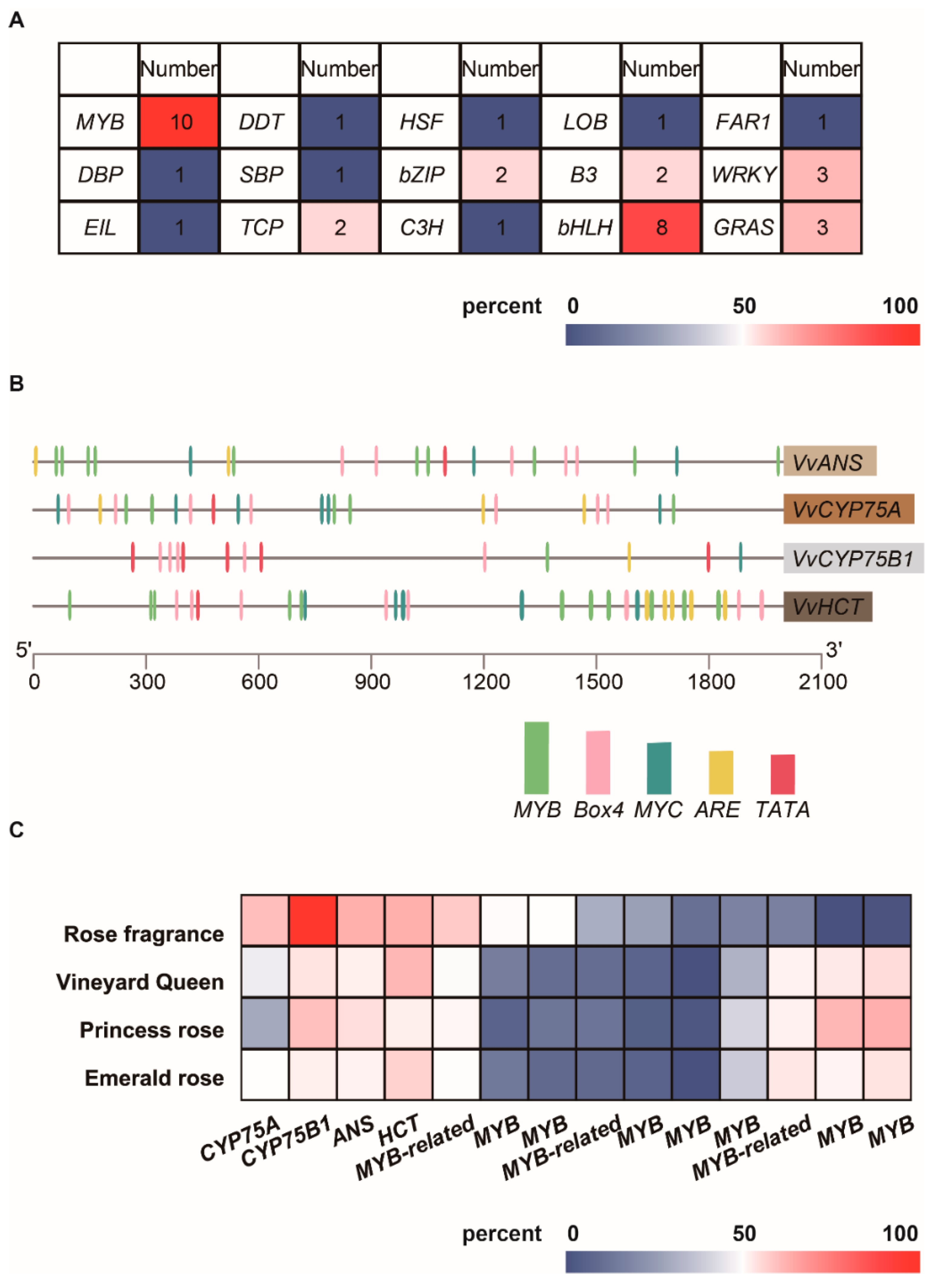 Forests 14 00416 g004