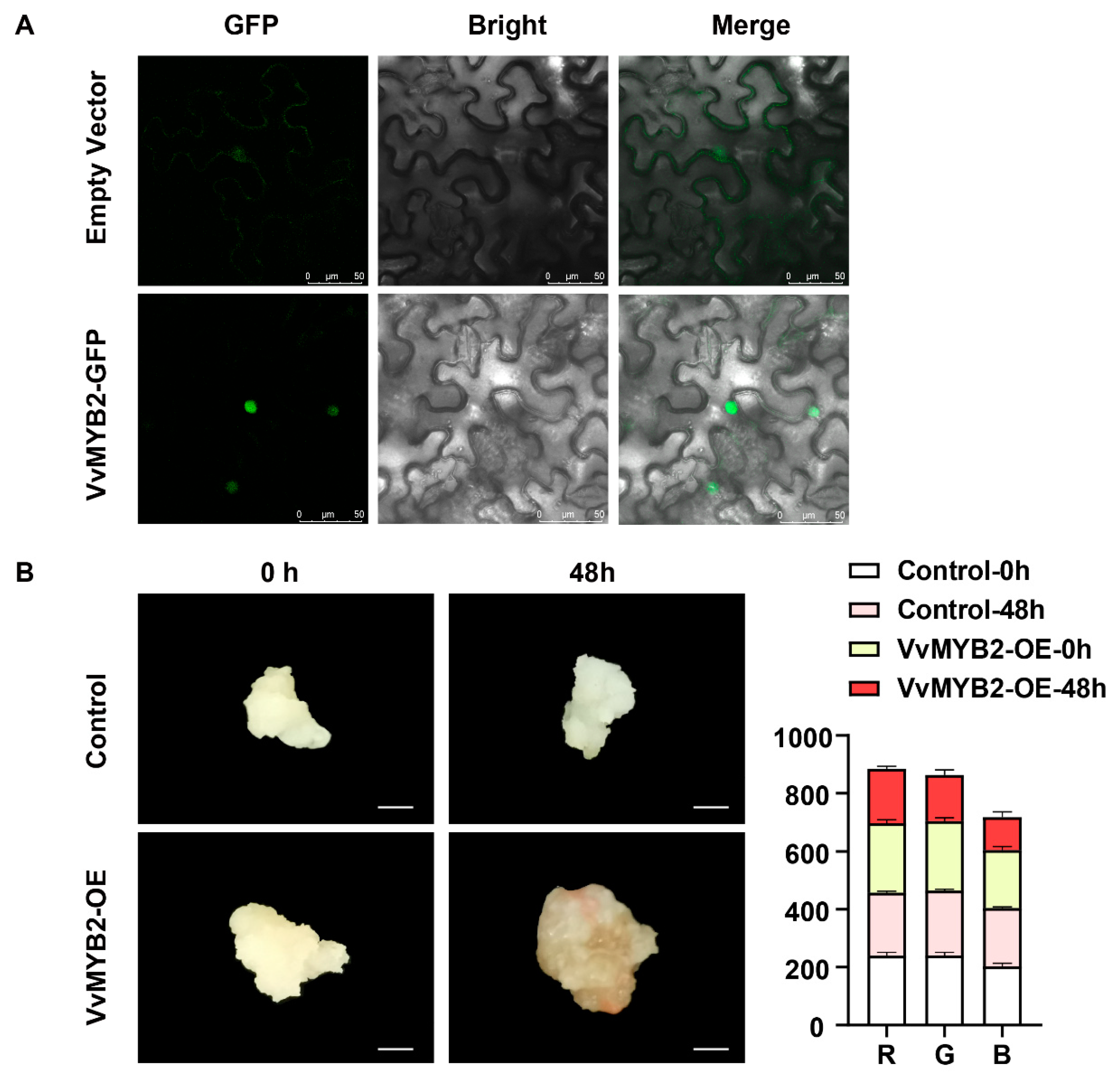 Forests 14 00416 g006