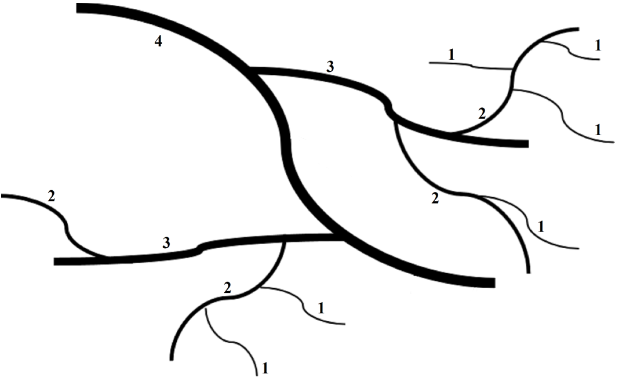 Forests 14 00426 g001