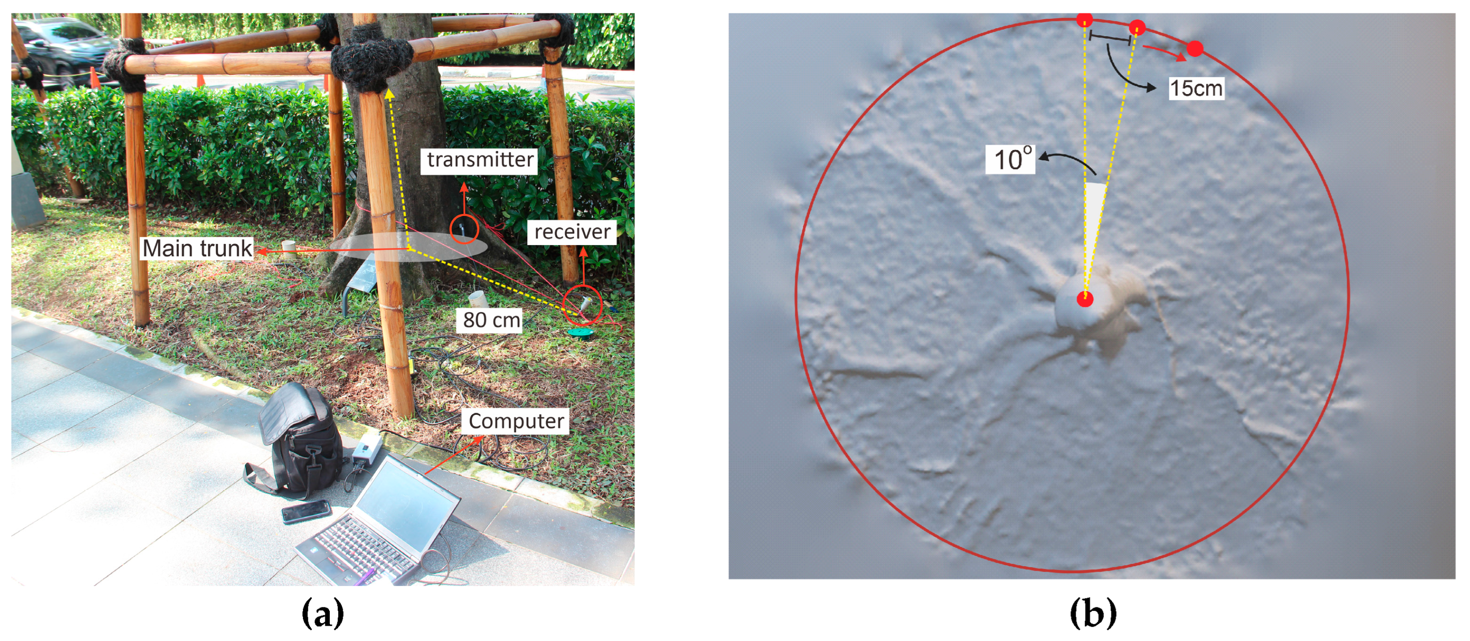 Forests 14 00427 g001