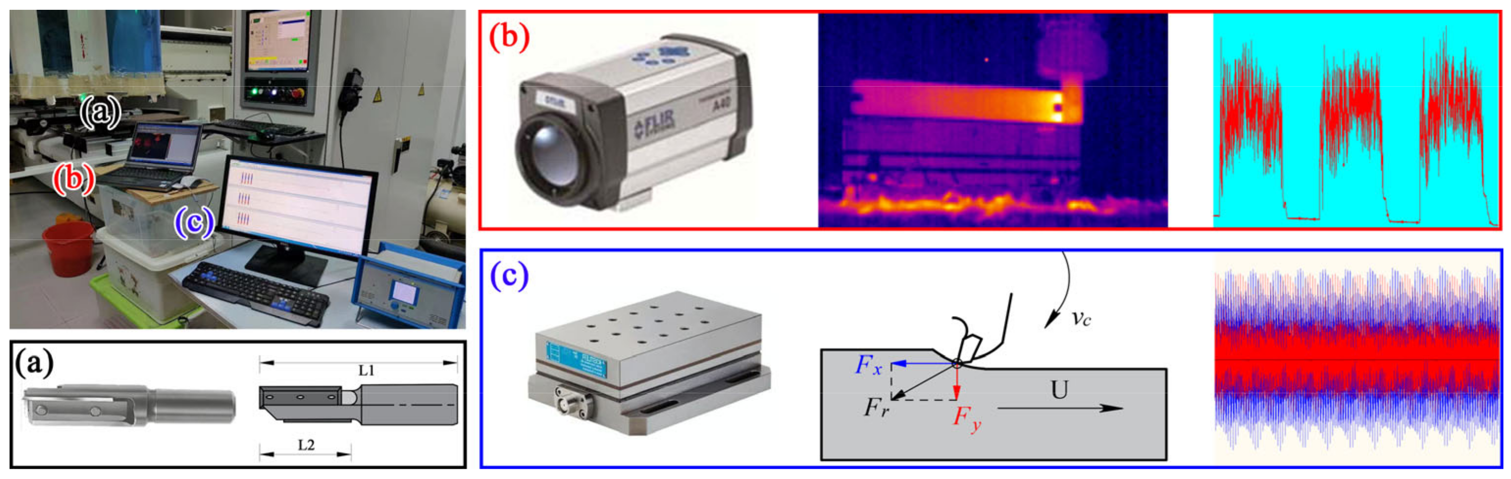 Forests 14 00433 g001