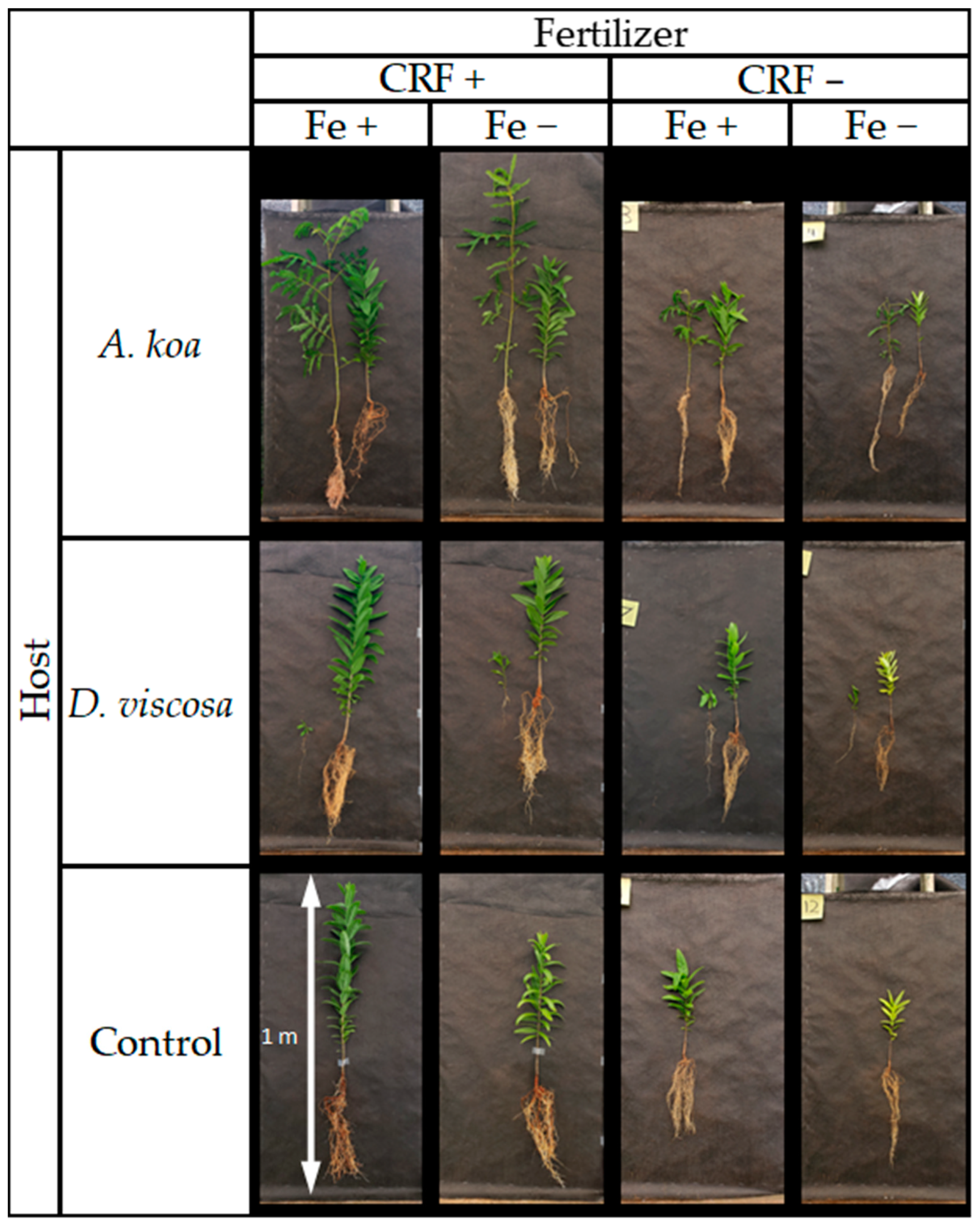 Forests 14 00458 g002 Forests 14 00458 g002