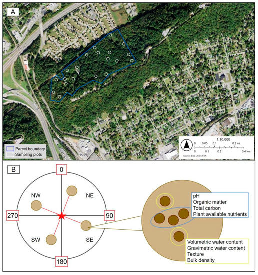 Forests 14 00487 g001