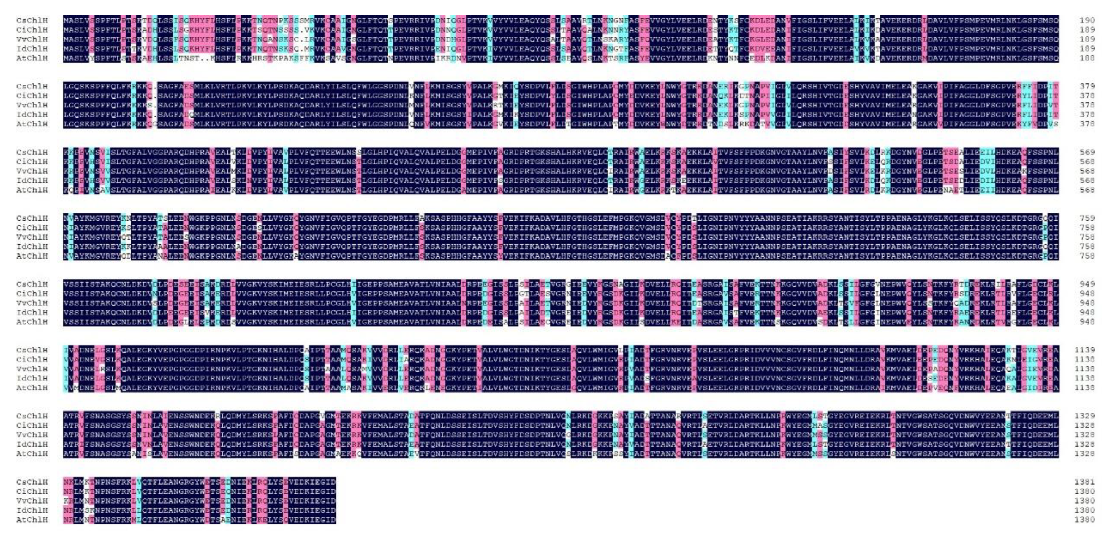 Forests 14 00488 g001