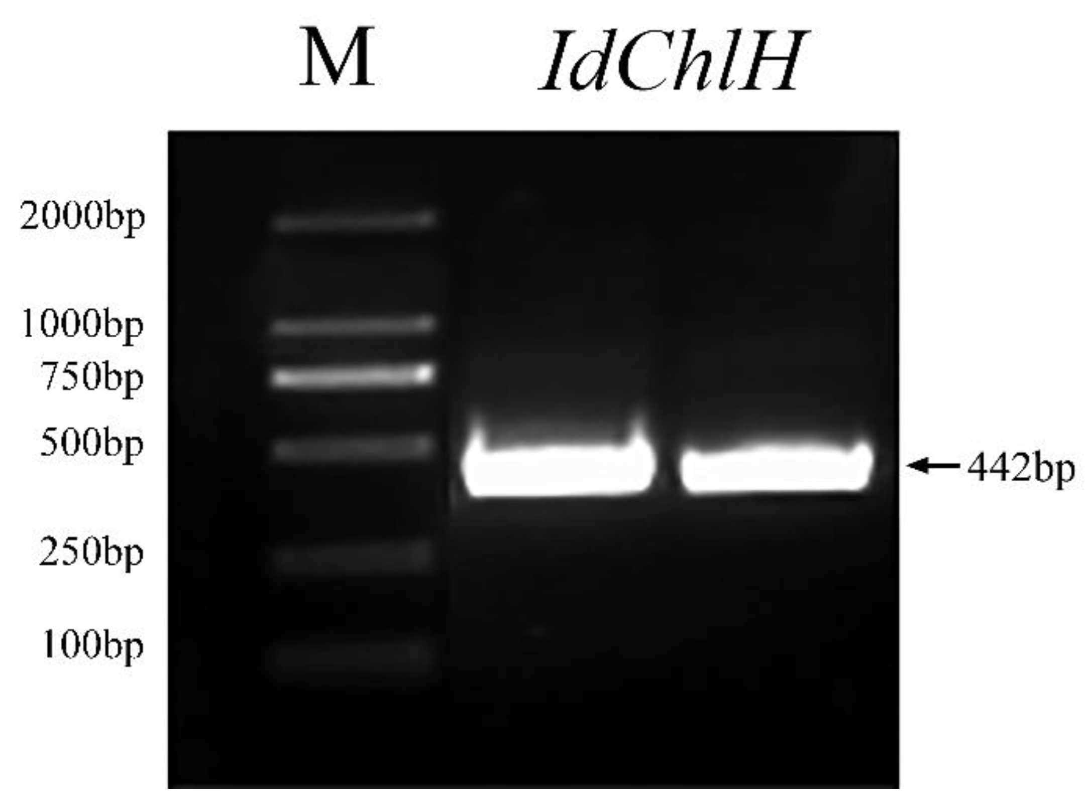 Forests 14 00488 g003