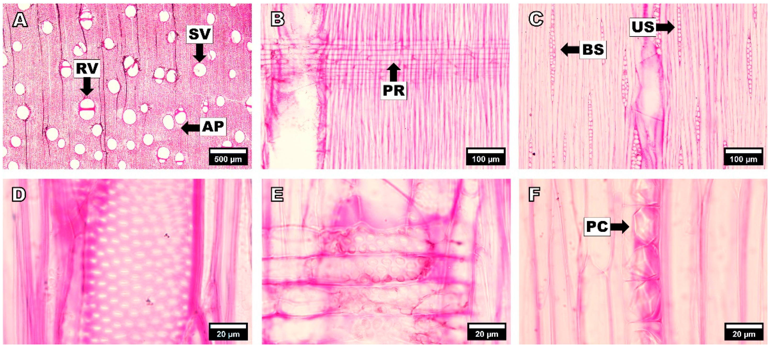 Forests 14 00496 g002