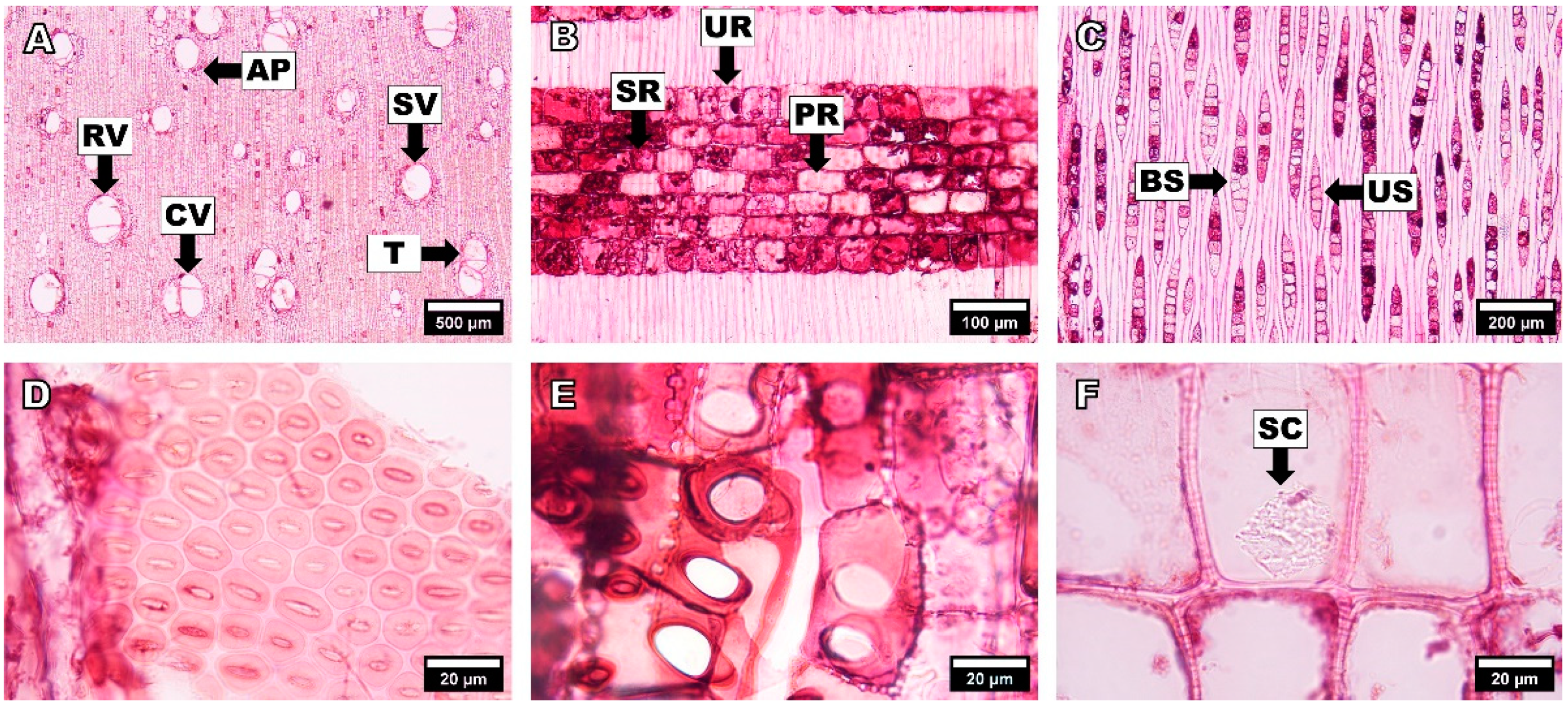 Forests 14 00496 g004