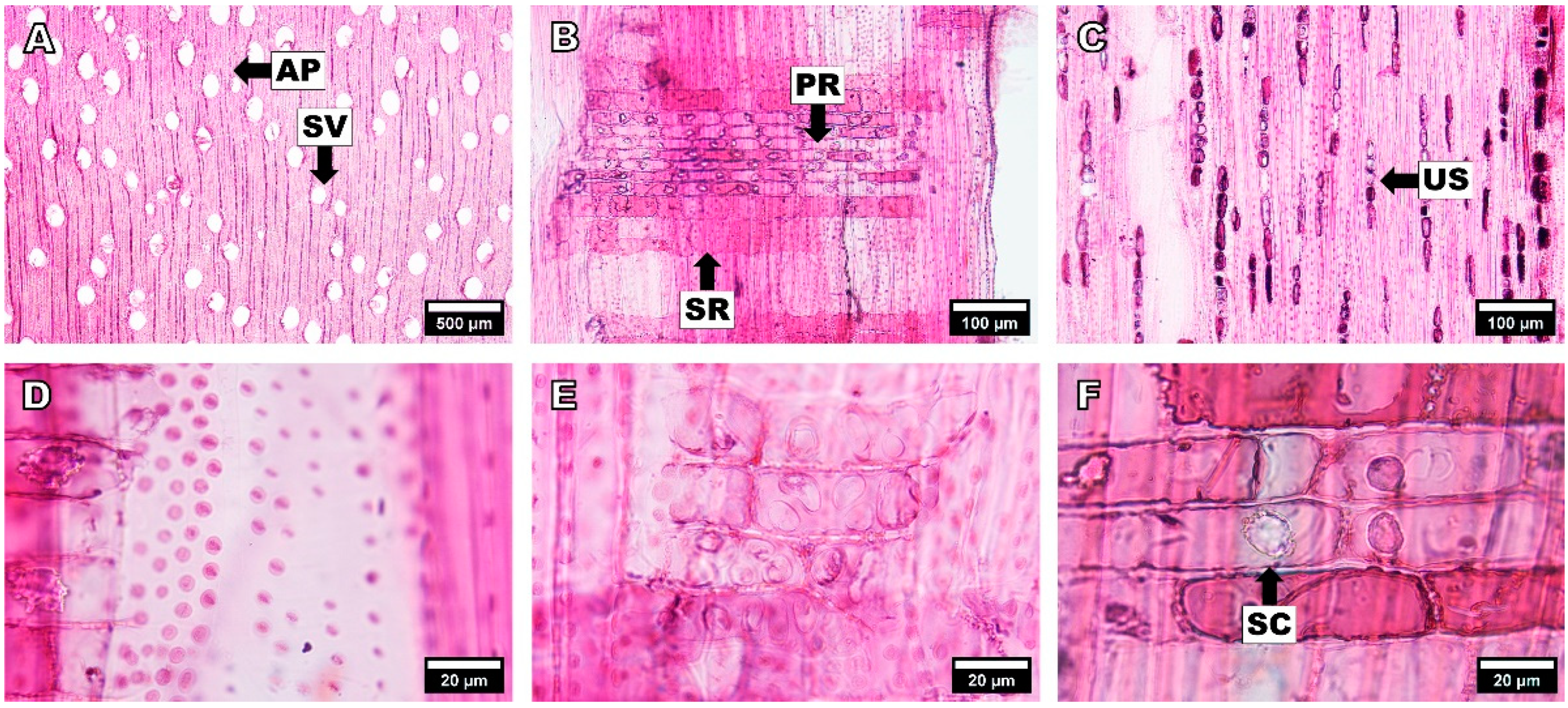 Forests 14 00496 g006