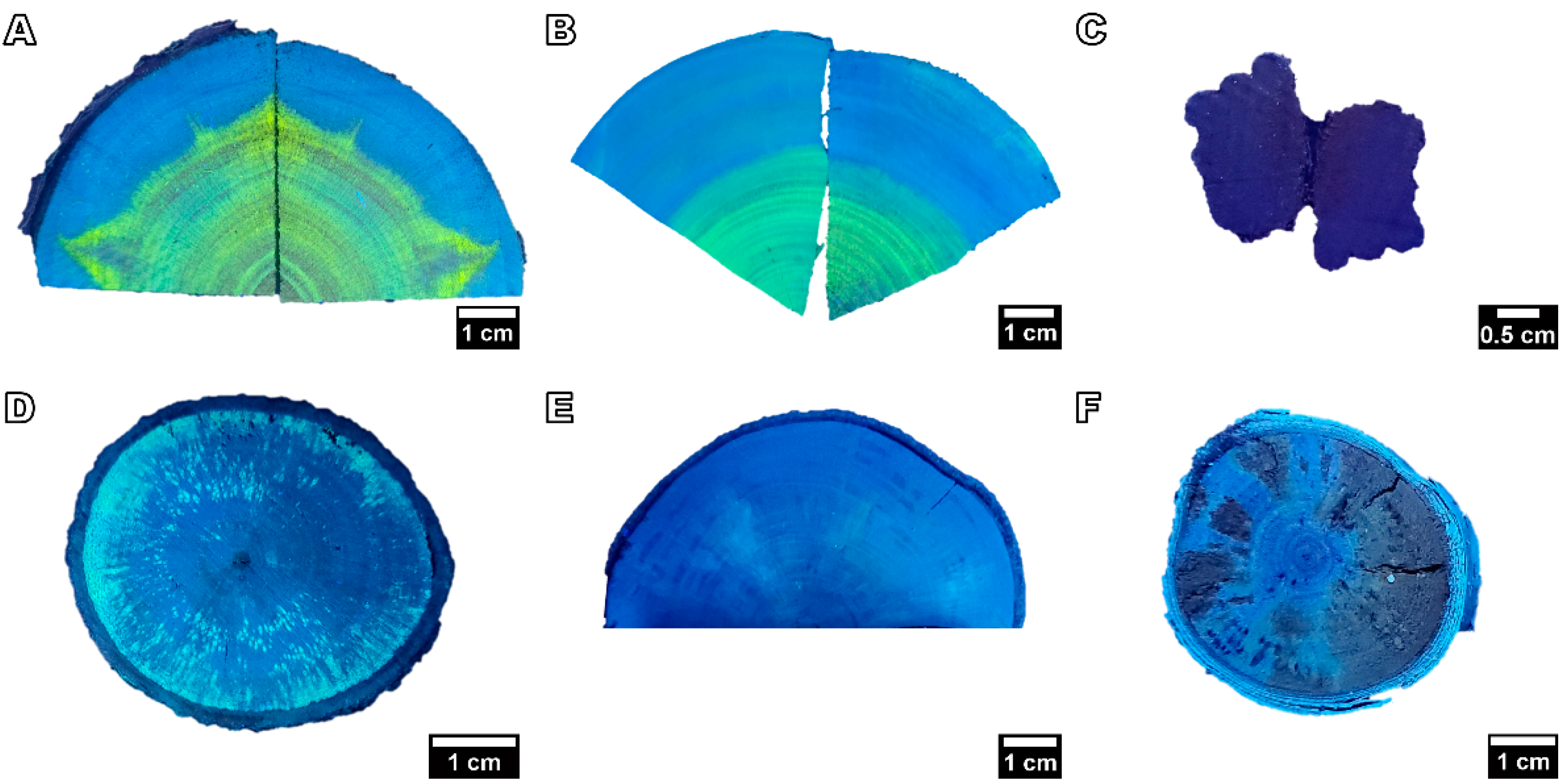 Forests 14 00496 g007