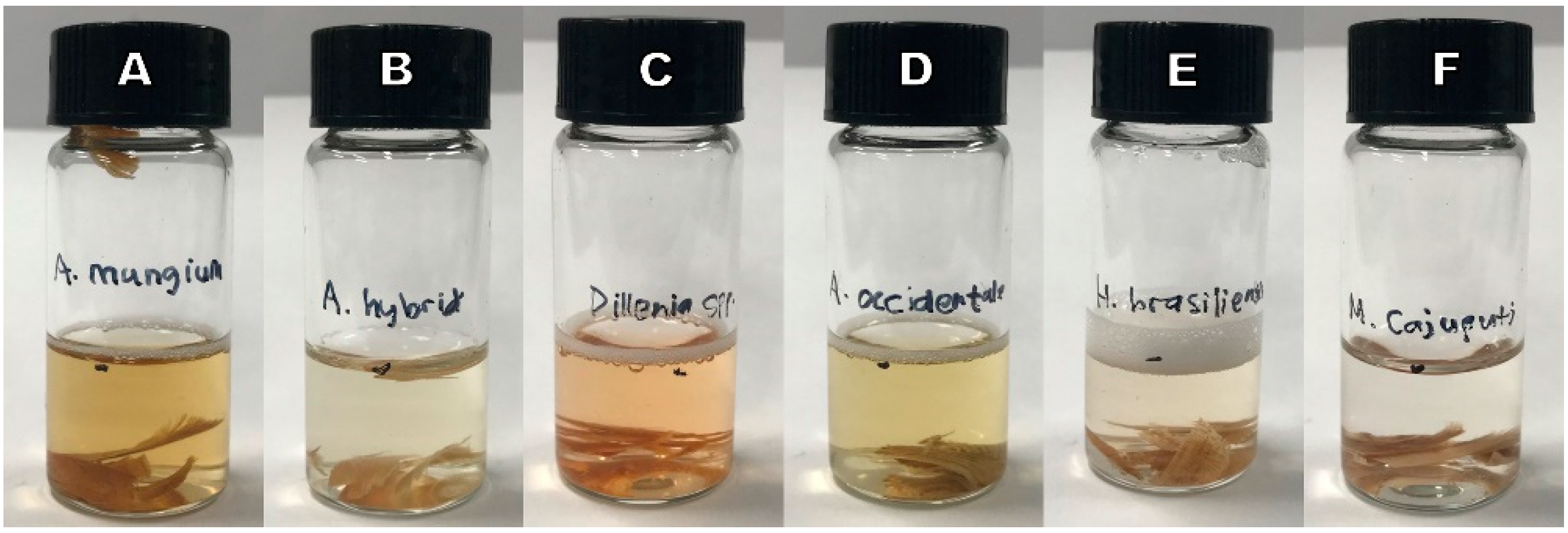 Forests 14 00496 g009