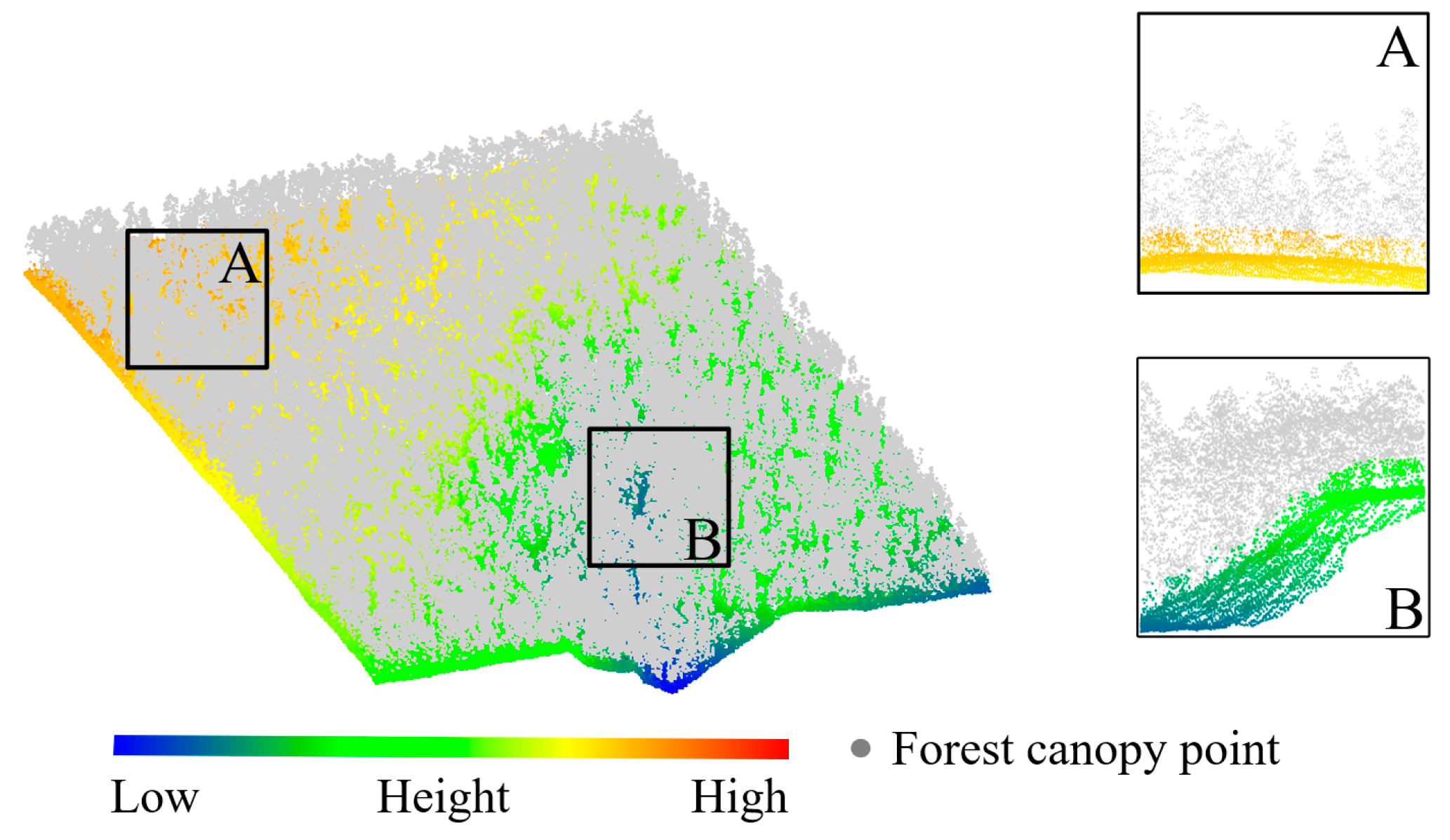 Forests 14 00498 g006 Forests 14 00498 g006