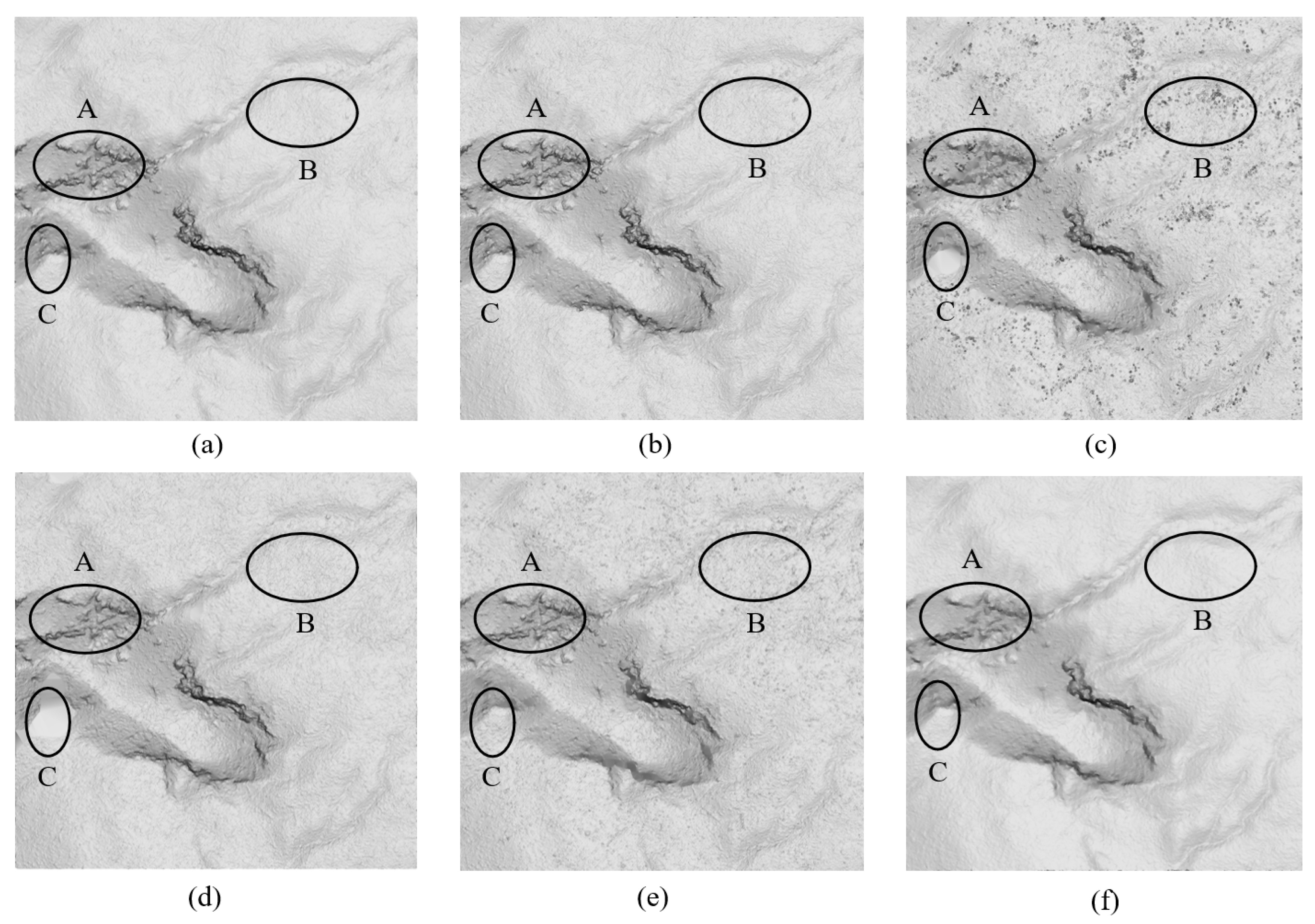 Forests 14 00498 g013 Forests 14 00498 g013