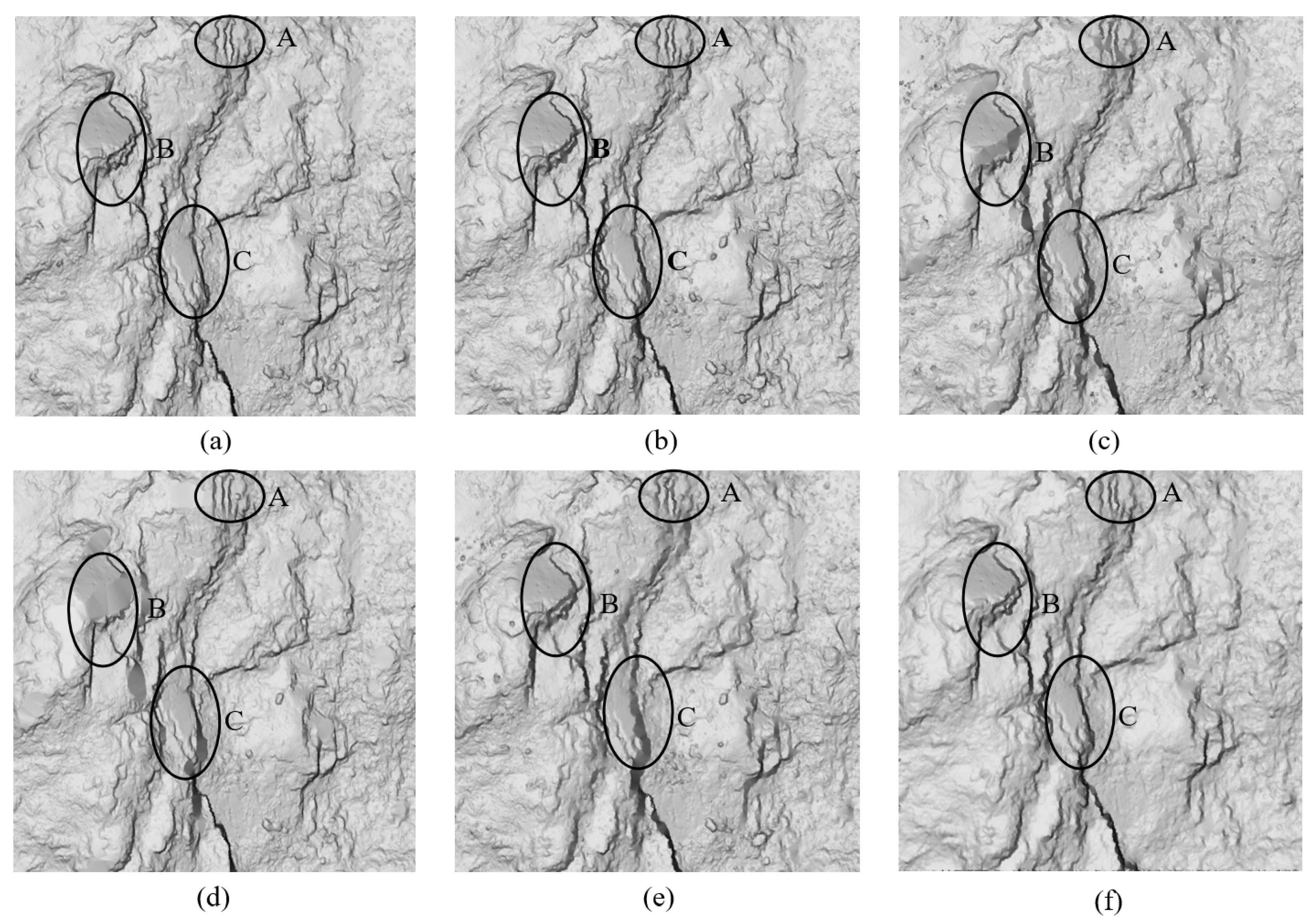 Forests 14 00498 g014 Forests 14 00498 g014